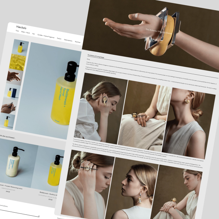 Haeckels.co.uk screenshot 3