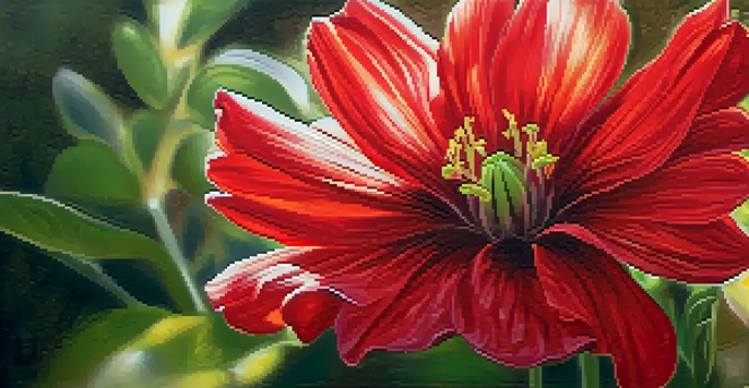 A close-up of a vibrant red flower with intricate petal details, illuminated by soft sunlight against a blurred green background.
