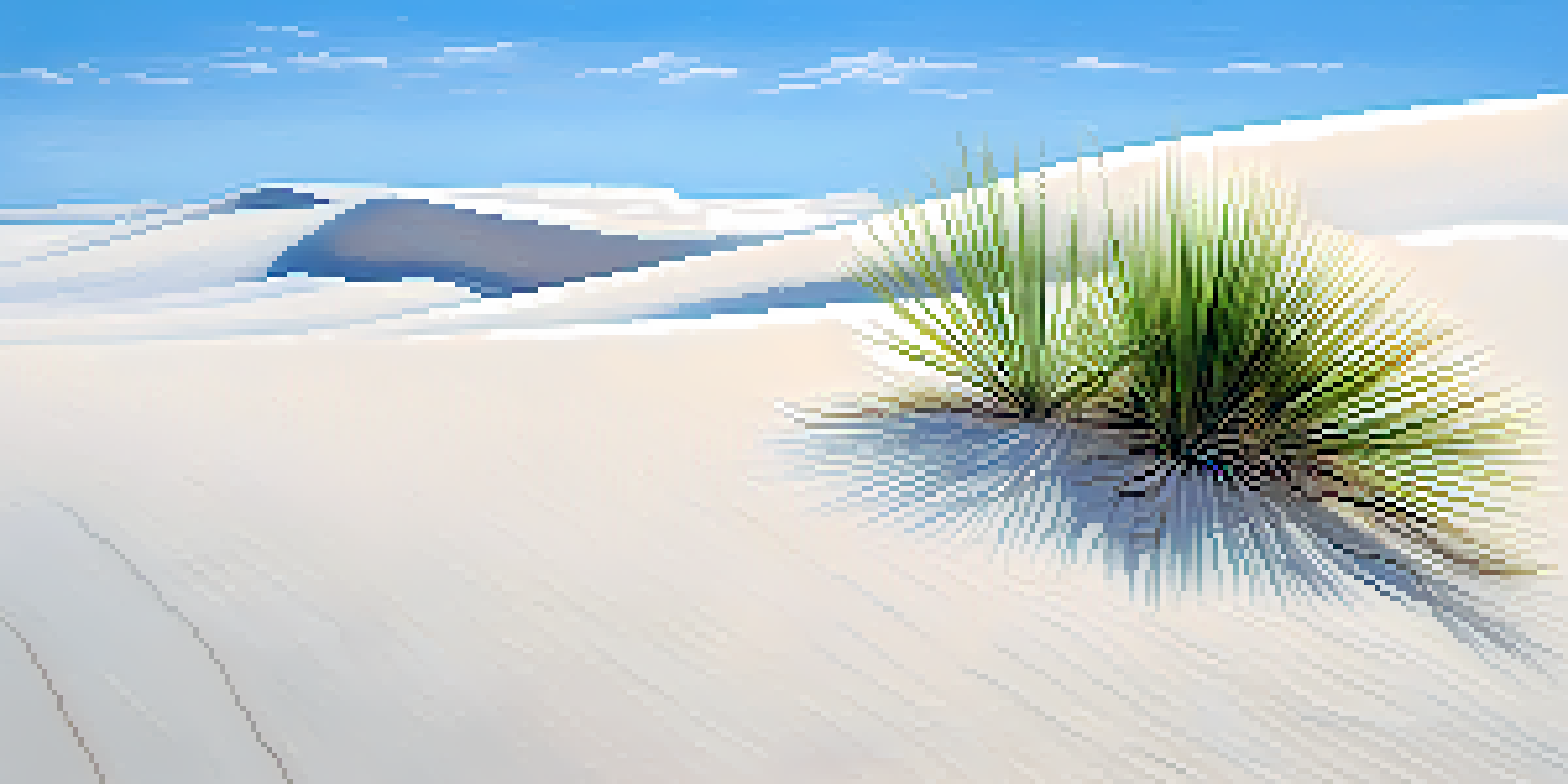 A tranquil minimalist landscape with white sand dunes under a blue sky, featuring a single green plant.