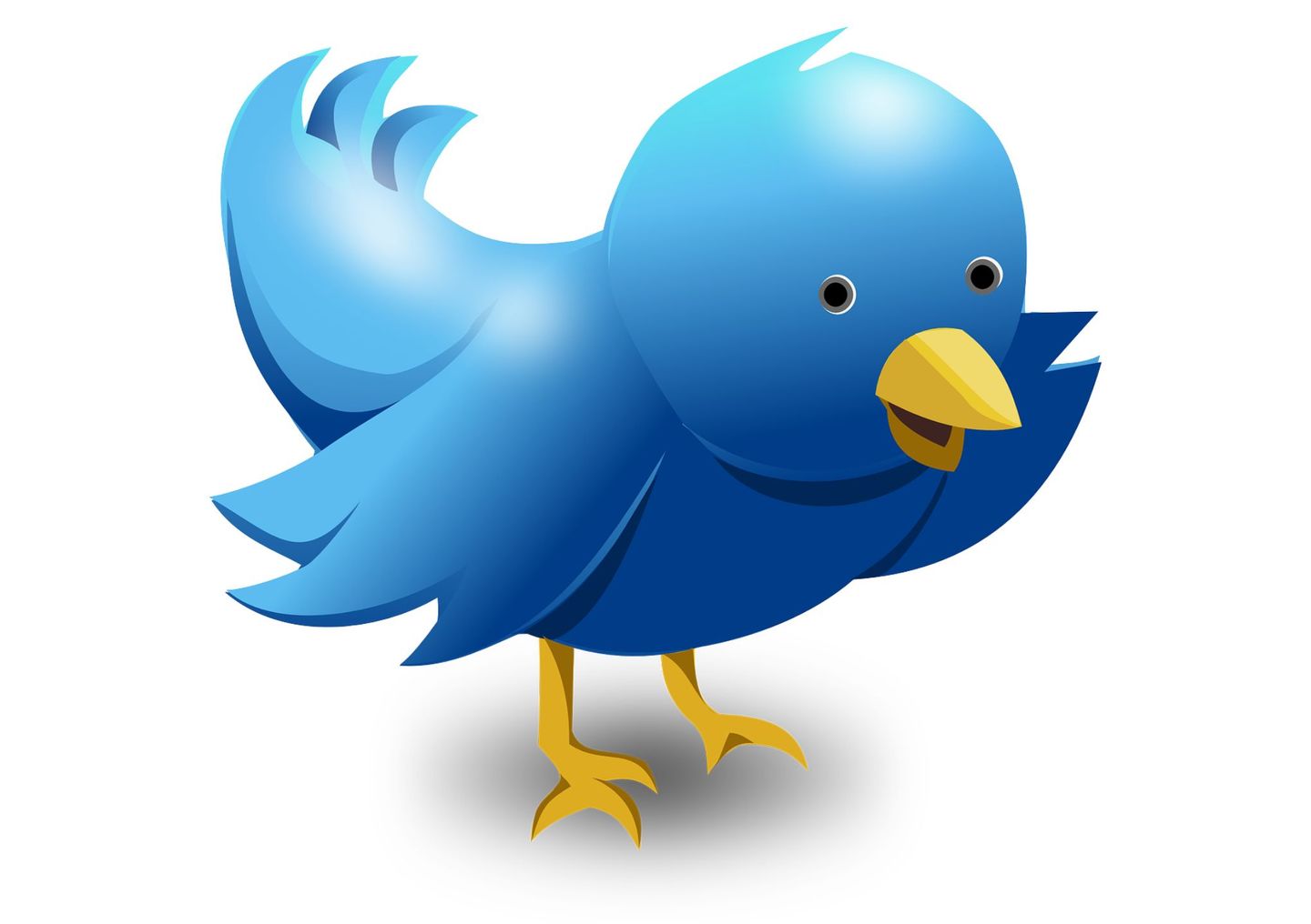 „Twitter reloaded“: Musk präsentiert X – Die Super-App der Zukunft