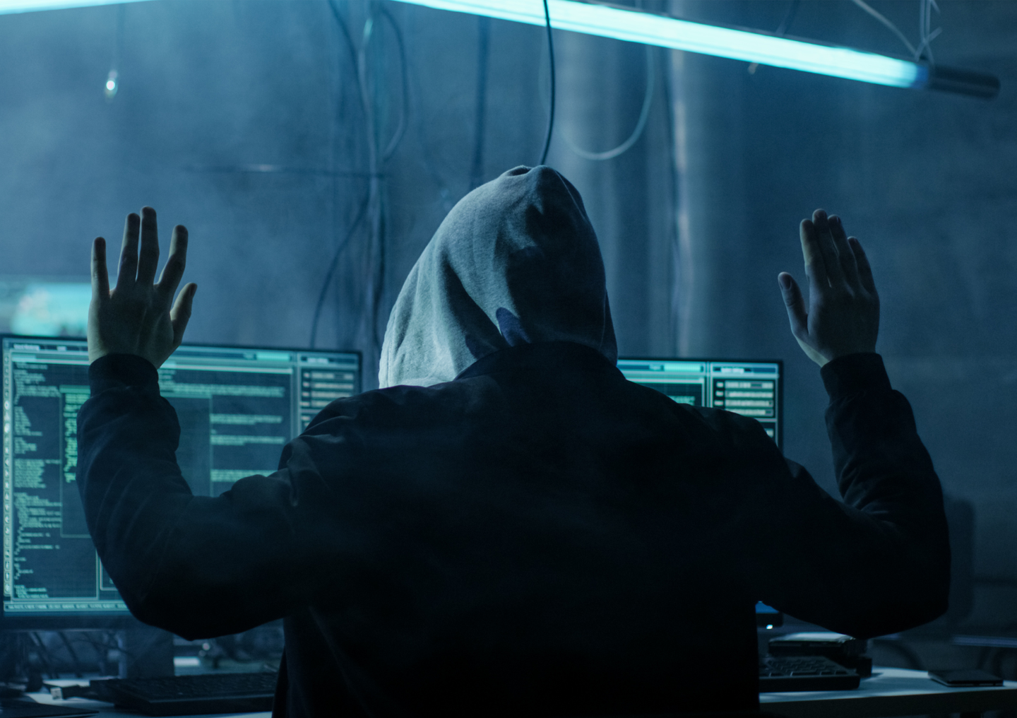 Strike against cybercrime: Investigators smash world's largest cybercrime forums!