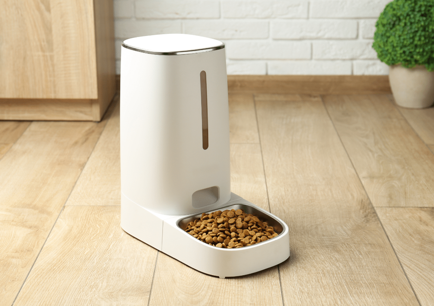 Will the bowl become a bug? Cologne court says no – and allows the sale of networked automatic feeders