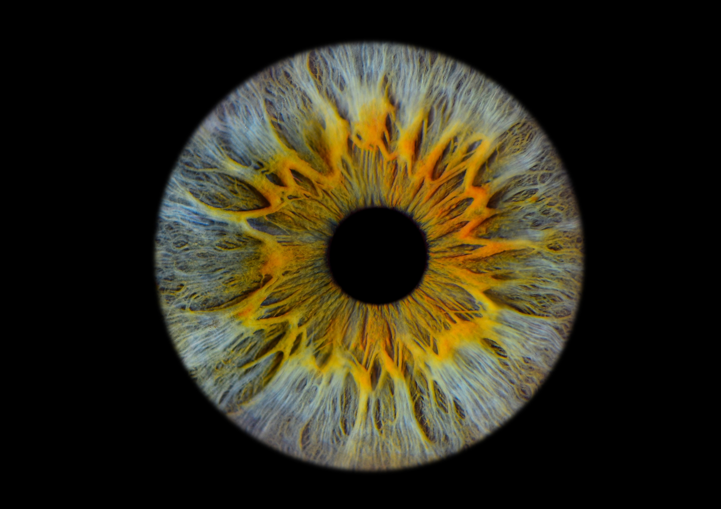 Sam Altman's "World": How the project wants to prove you're human with iris scans