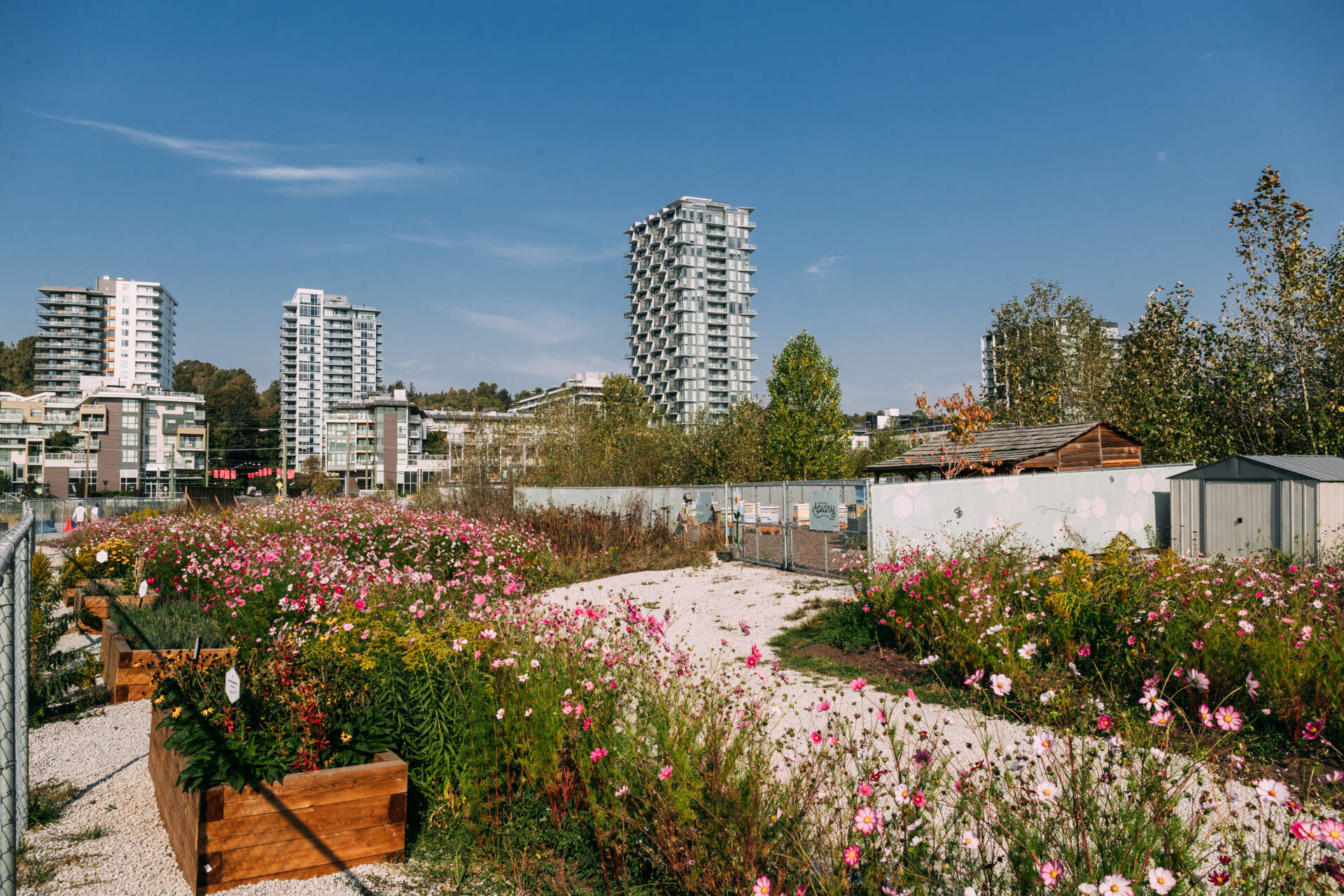 Area 3 future development lands at River District.
