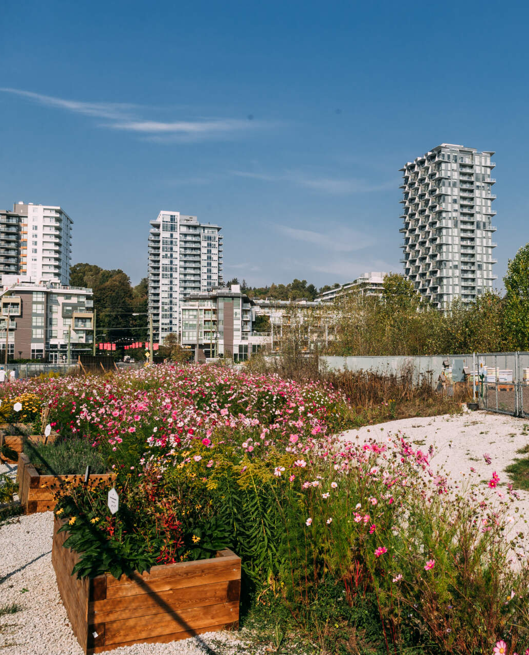 Area 3 future development lands at River District.