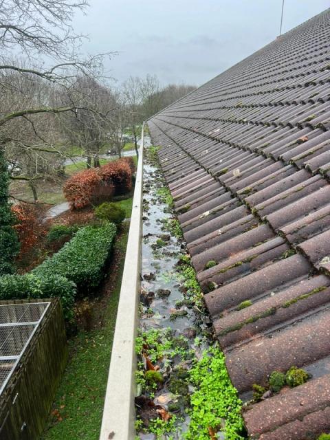 Residential gutter clogged with moss and debris before cleaning