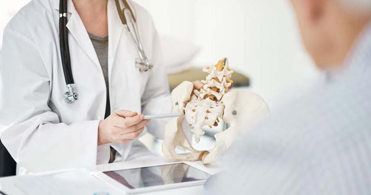 Doctor holding a model of a hip and spine while consulting a patient