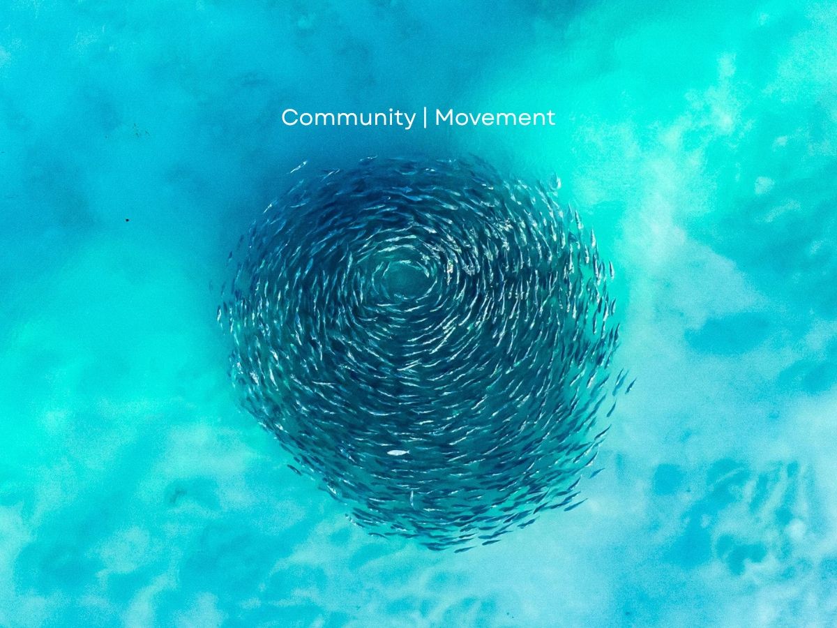 Social Management