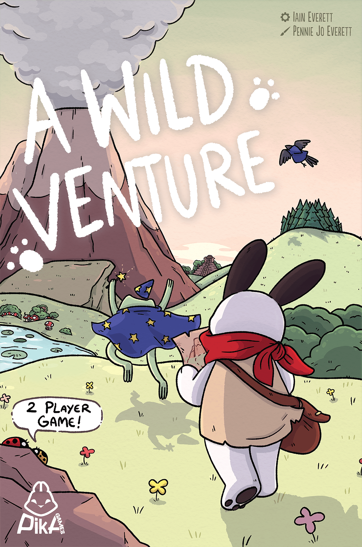 Box art for A Wild Venture