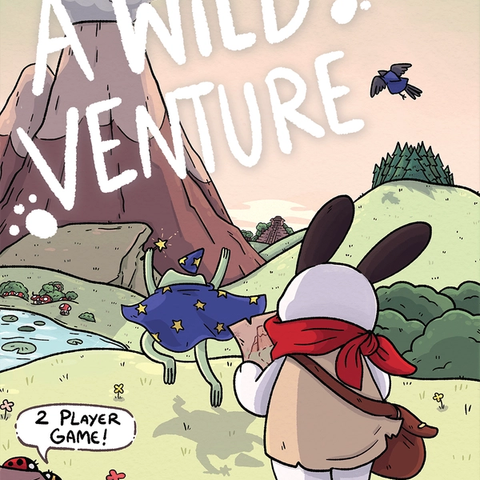 Box art for A Wild Venture