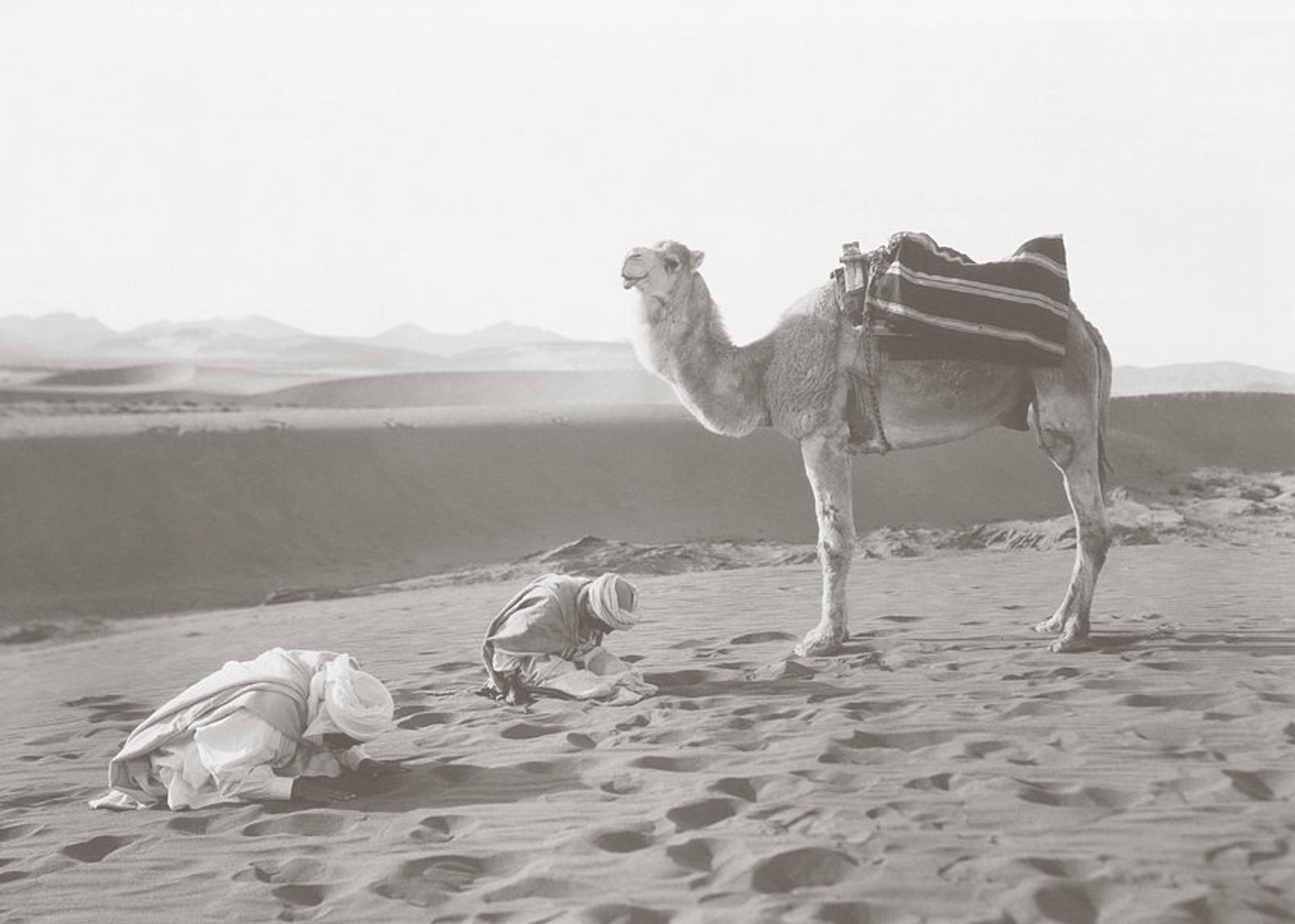 Dwelling, AlUla → Counterspace