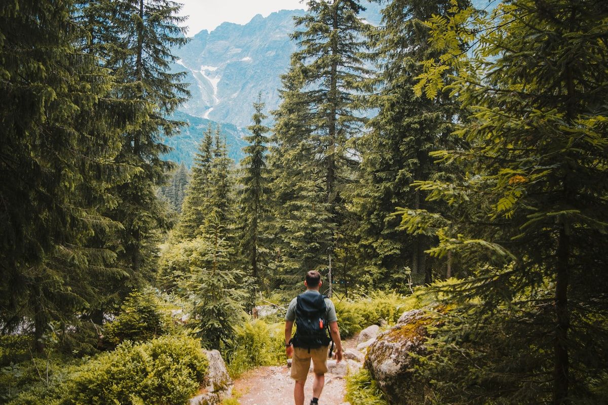 Hiking Daypacks Under $150 That Hold Up on the Trail