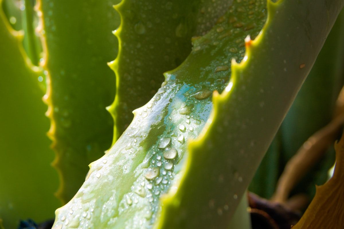 After-Sun Skin Care: What Actually Calms a Sunburn