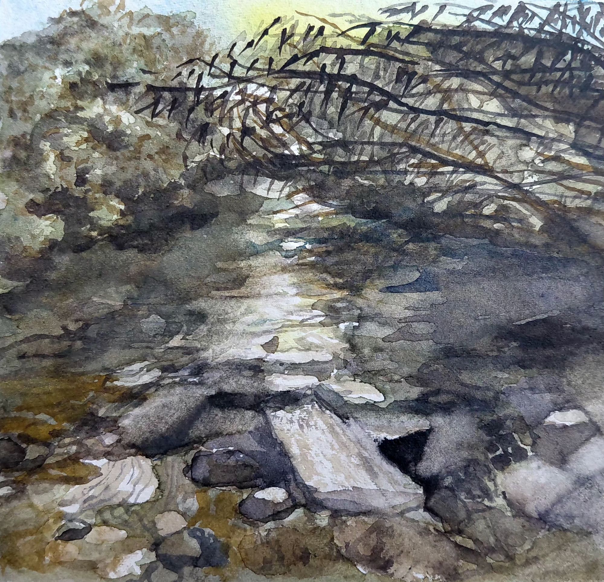 The River