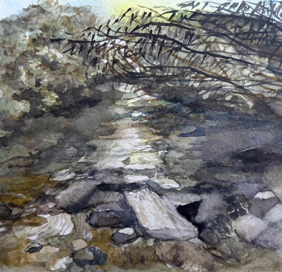 The River