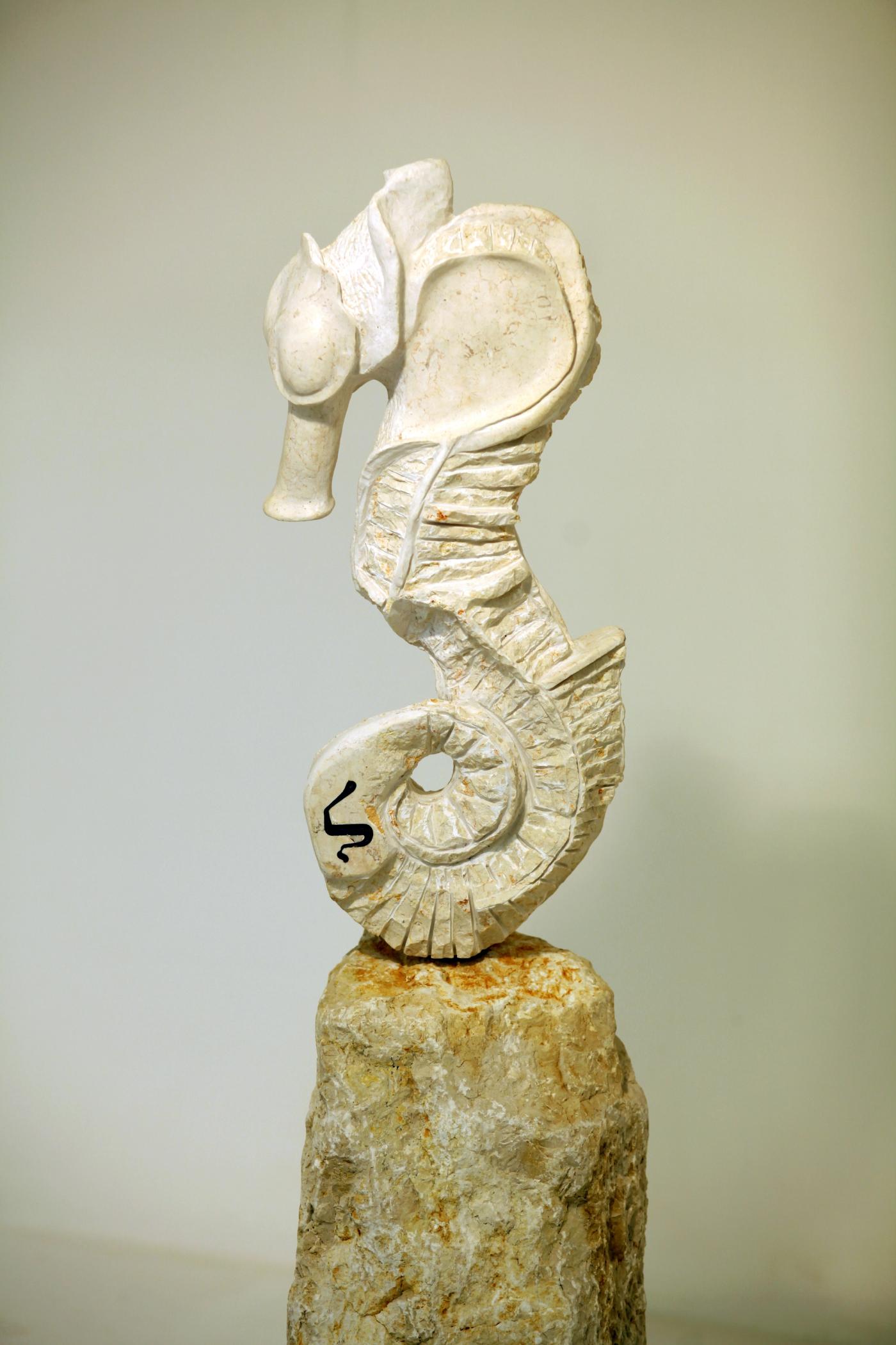 sea-horse