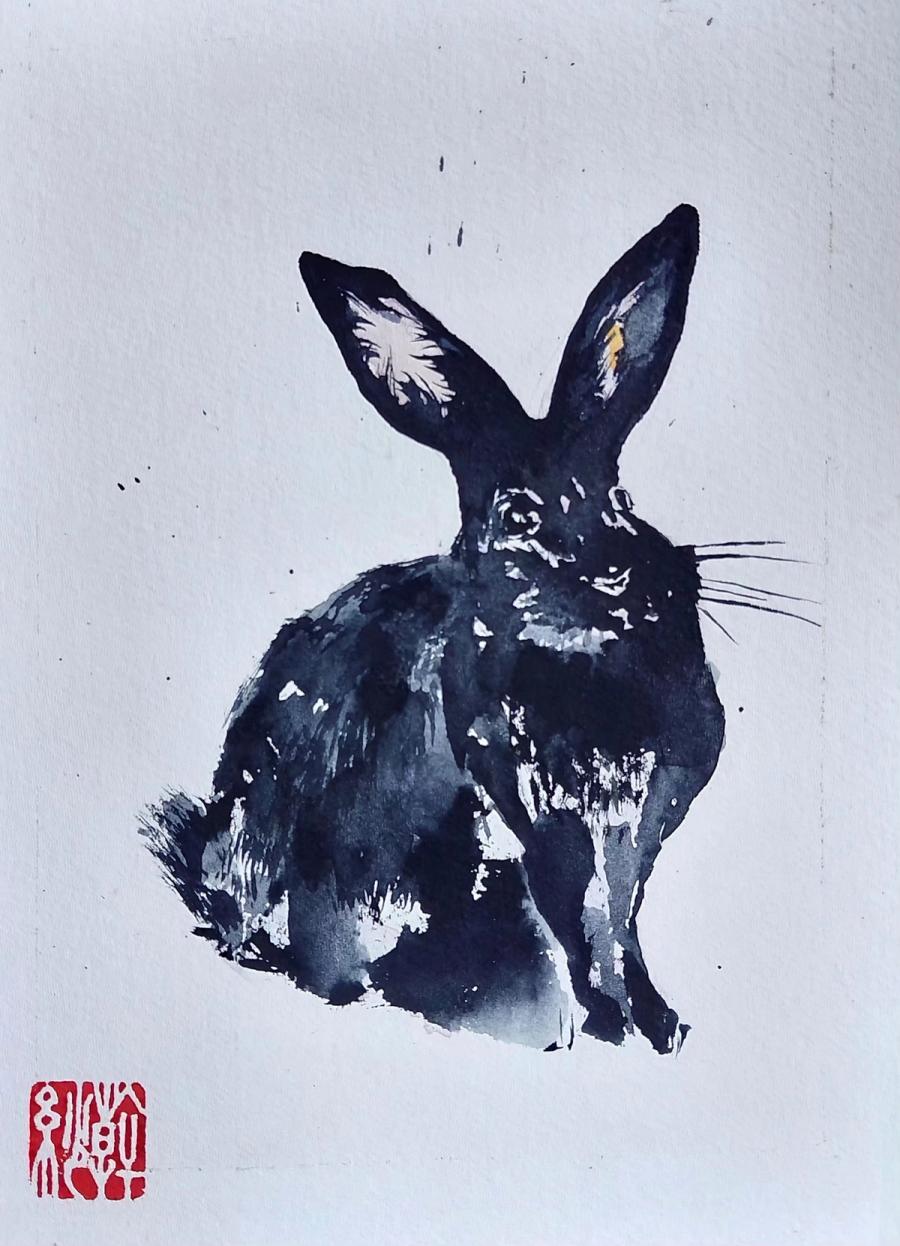 rabbit