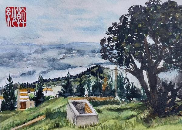 The Mountain House