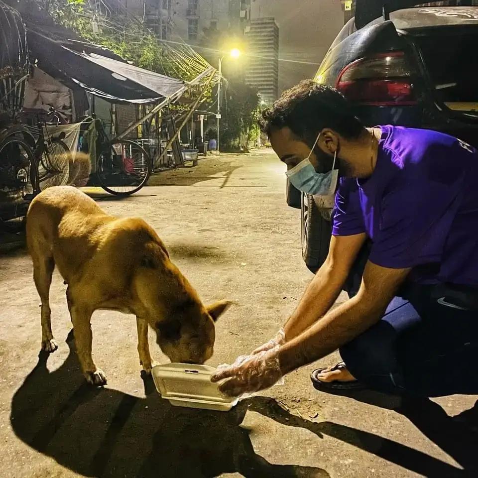 Animal Welfare