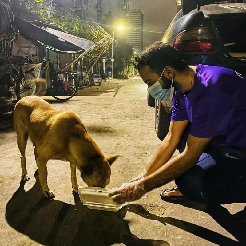 Love for Dogs
