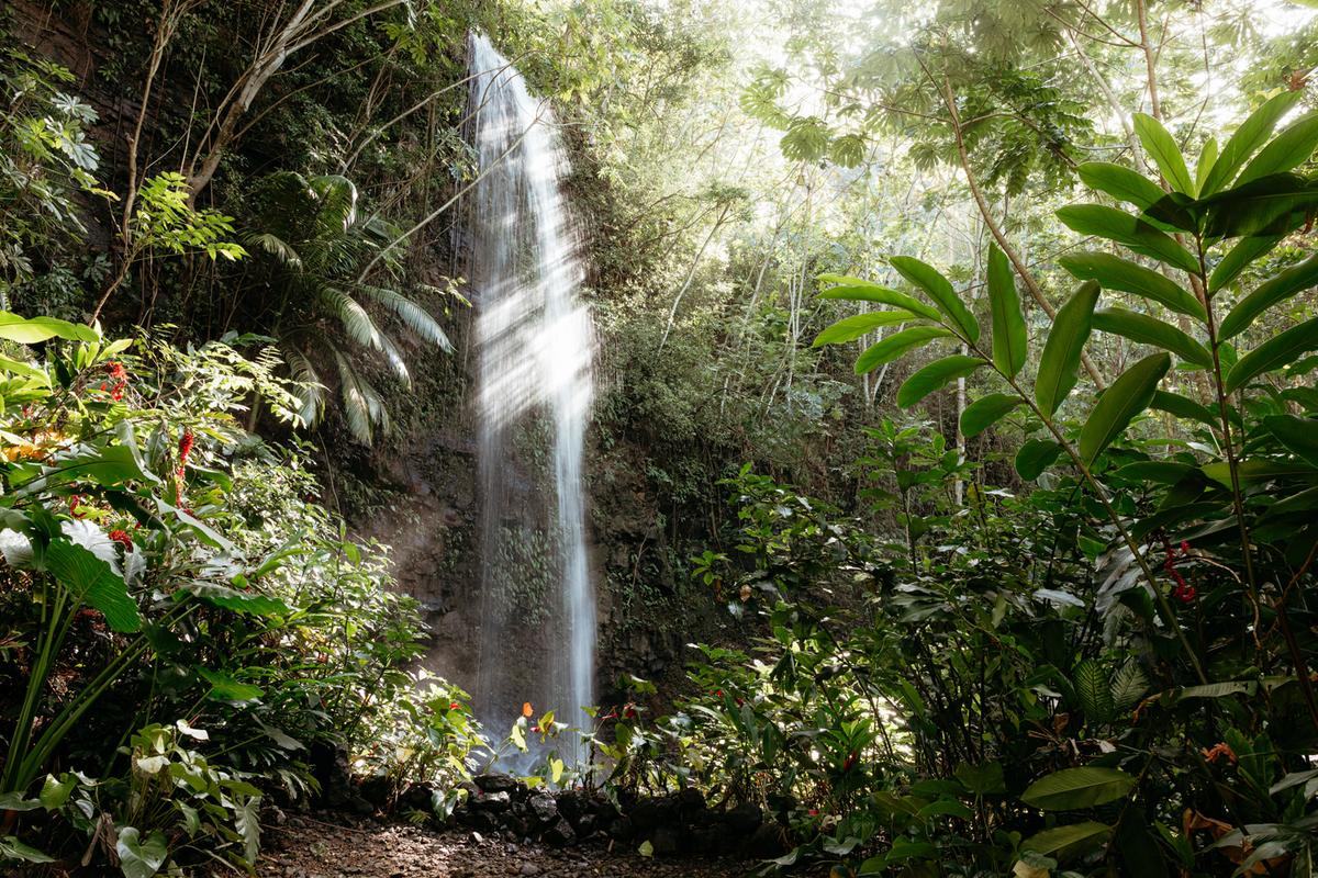 Waterfall in lush tropical forest on Kauaʻi North Shore