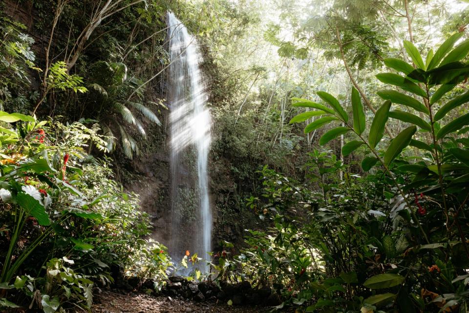 North Shore Falls wedding location
