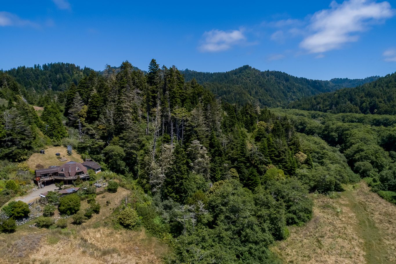 Pamela Hudson Real Estate