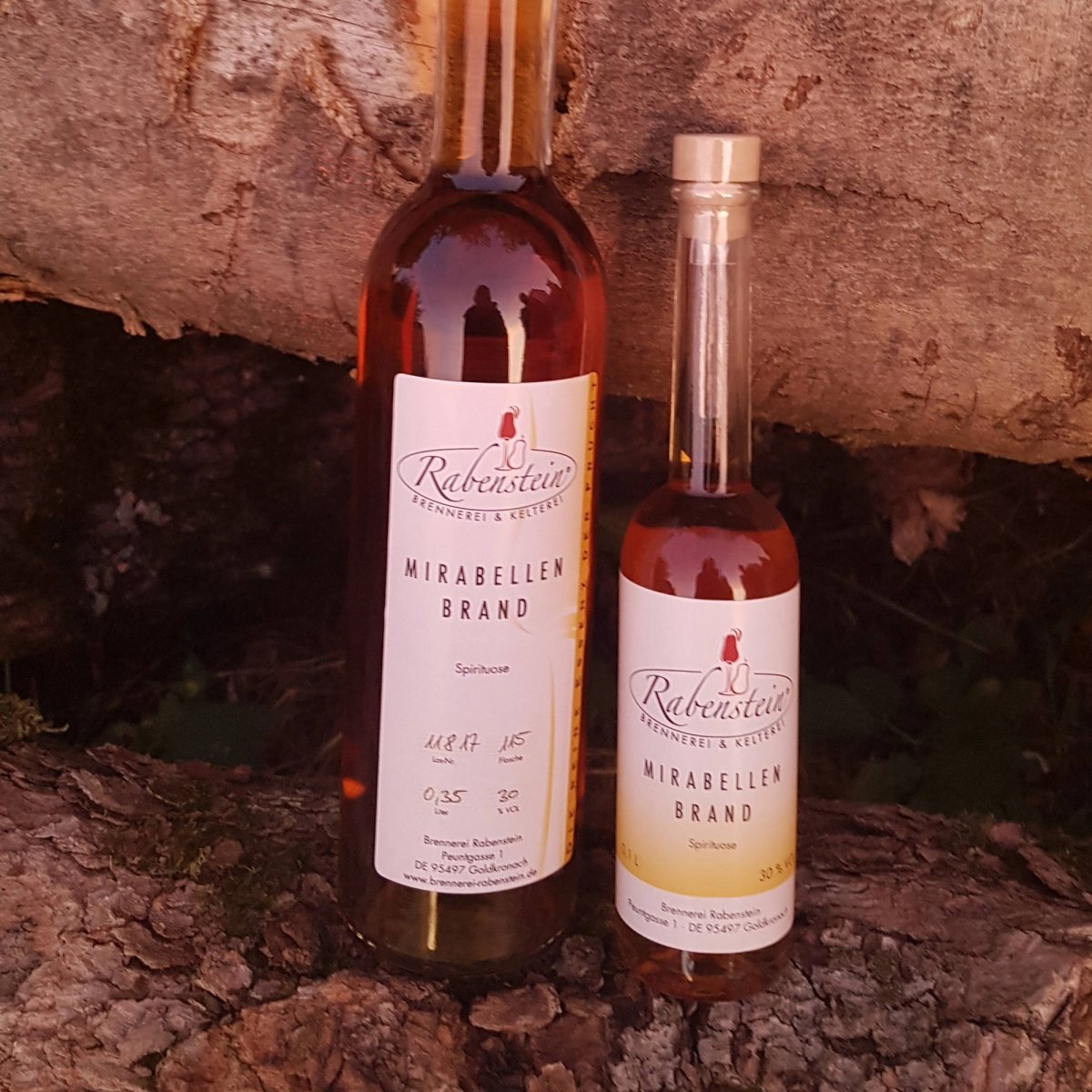 Mirabellenbrand