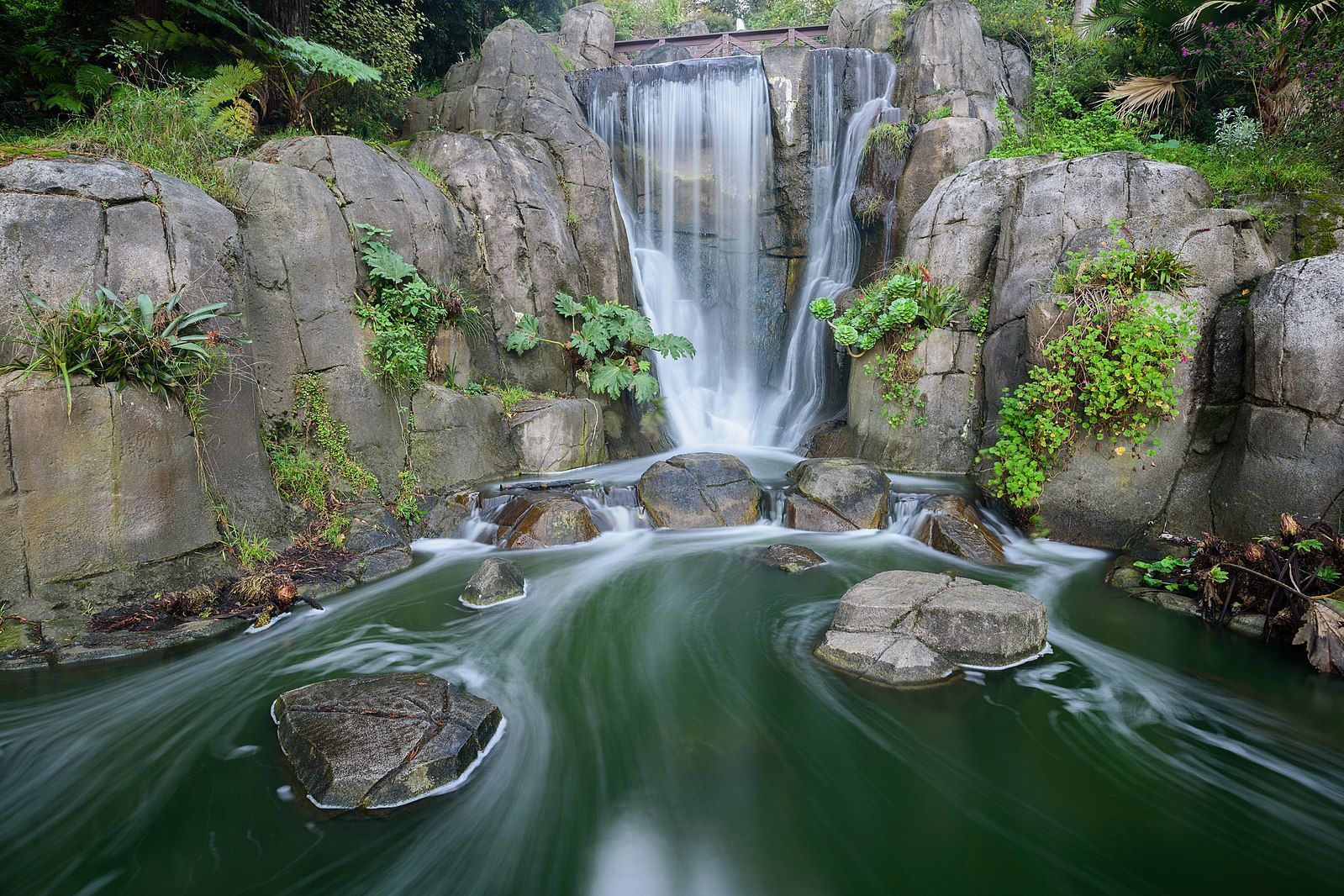 The Ultimate Golden Gate Park Walking Tour - An End To End Journey