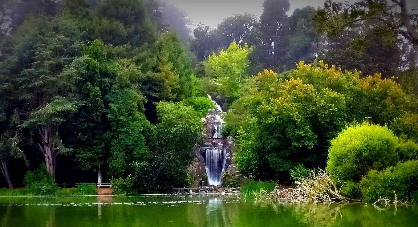 Golden Gate Park Highlights: A Walking Tour