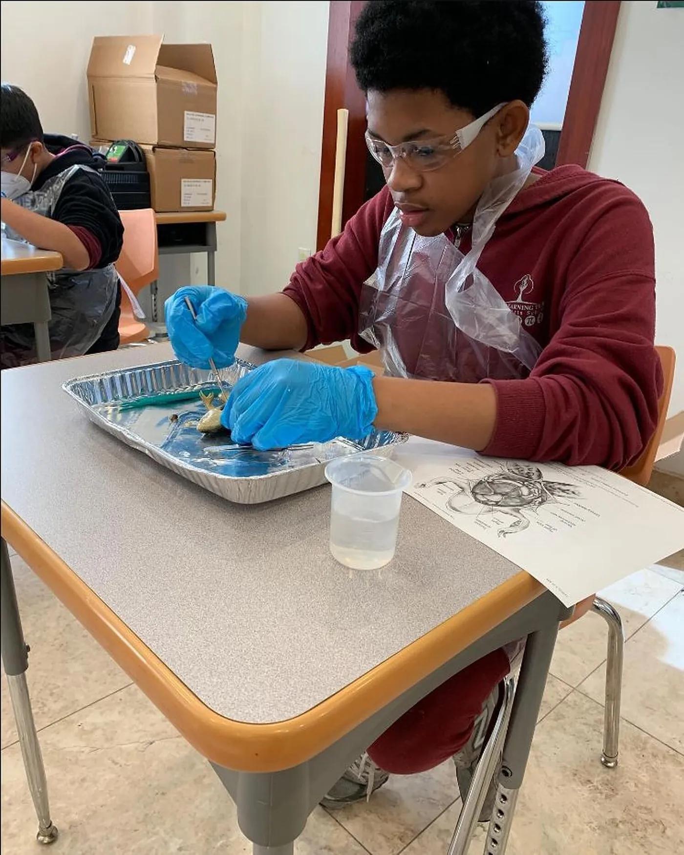 A student at work in the STEM Lab