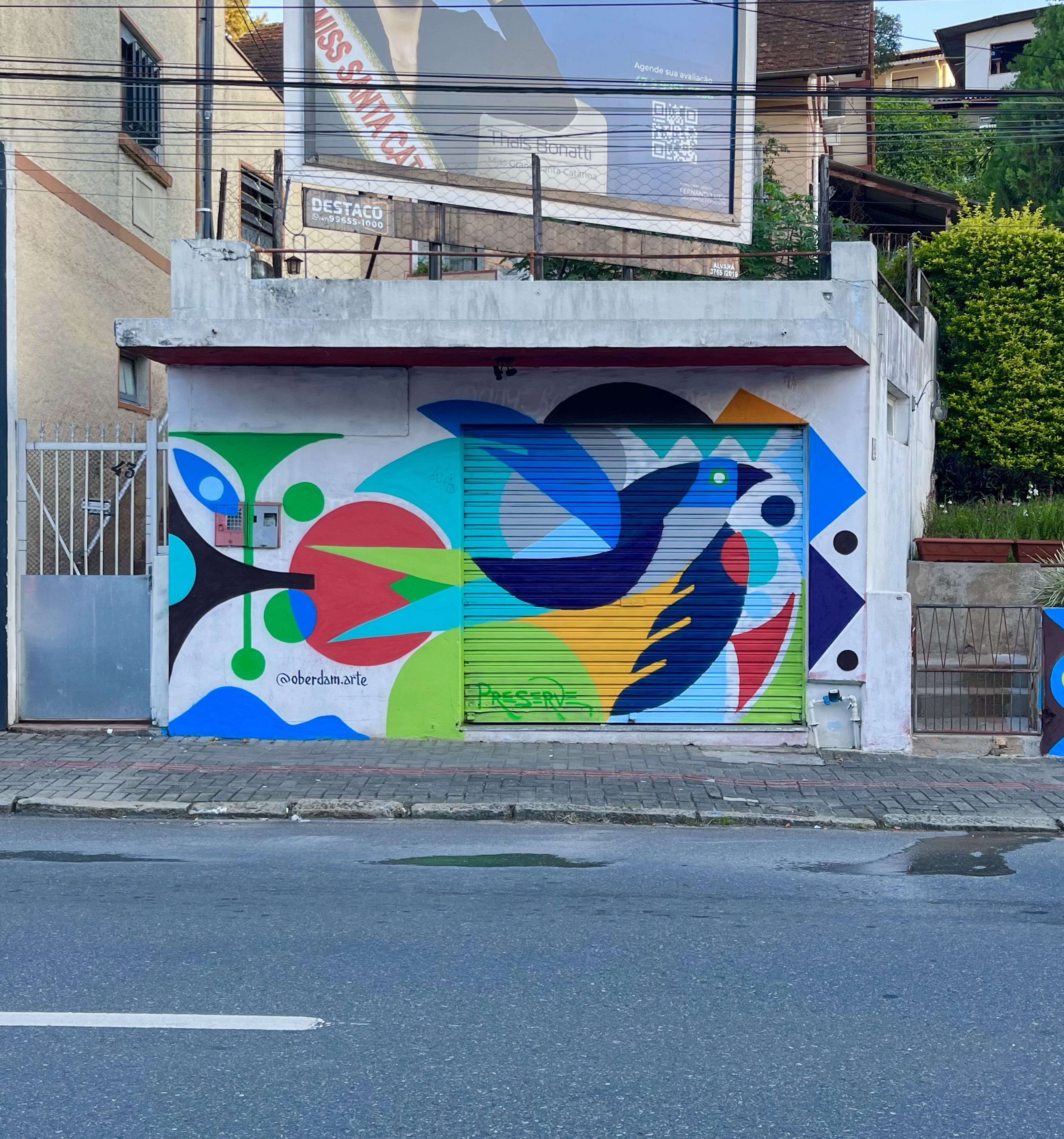 Mural Pássaro Padrões Coloridos — mural por Oberdam Eltz