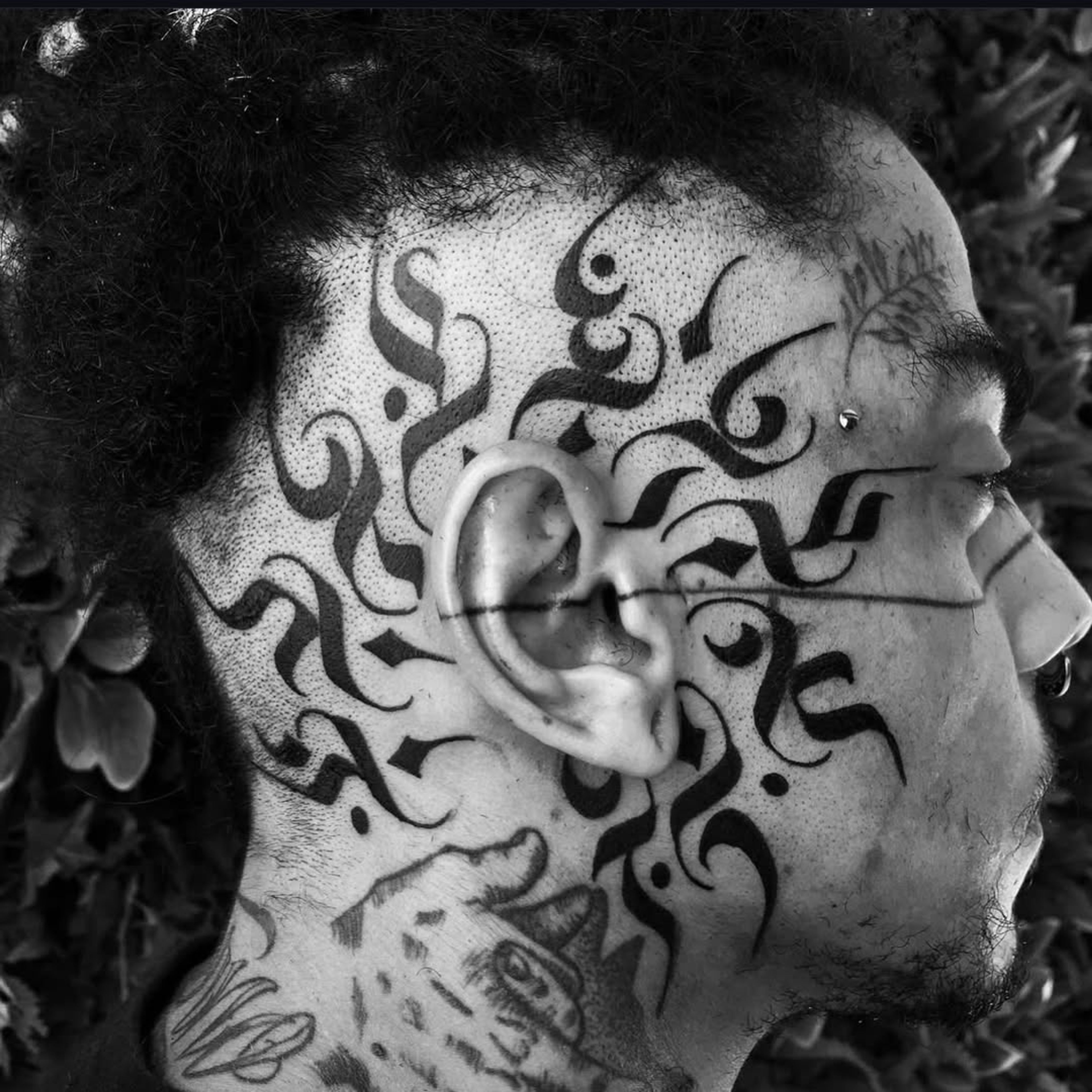Tatuagem Black Work Cabeça — tatuagem por Oberdam Eltz