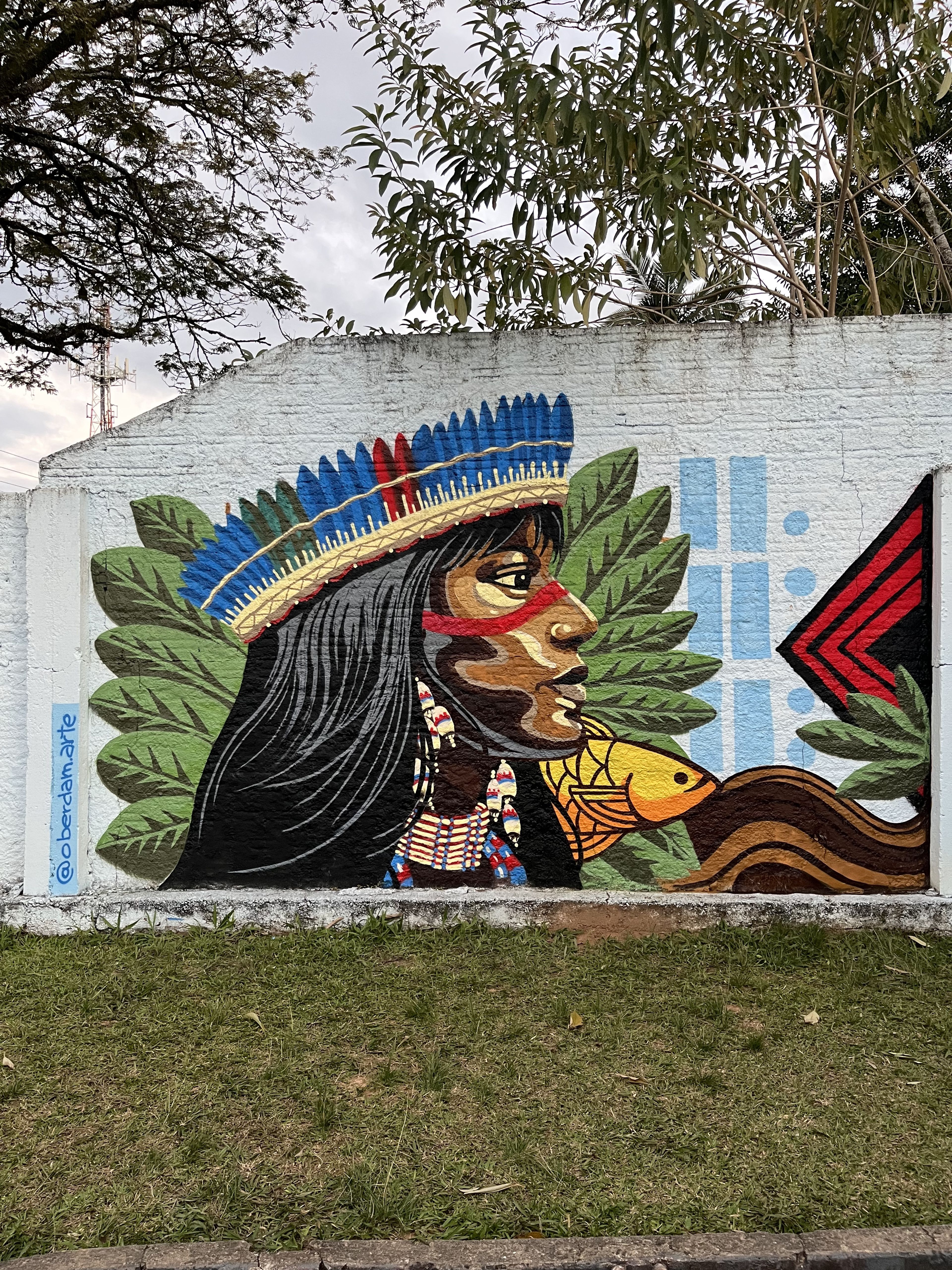 Mural Índia Oberdam — mural por Oberdam Eltz
