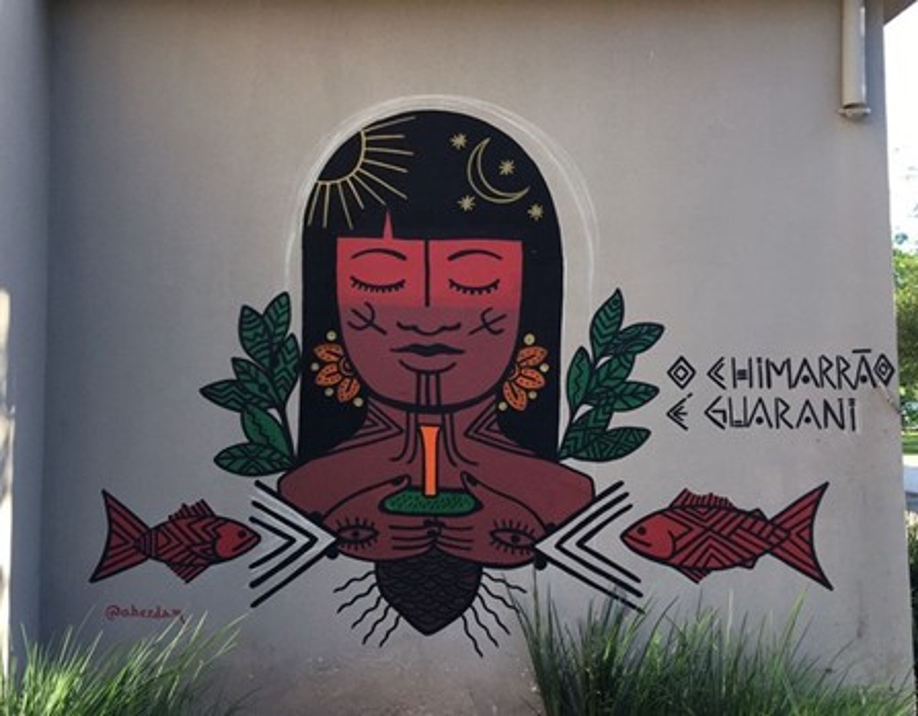 Mural Índia — mural por Oberdam Eltz