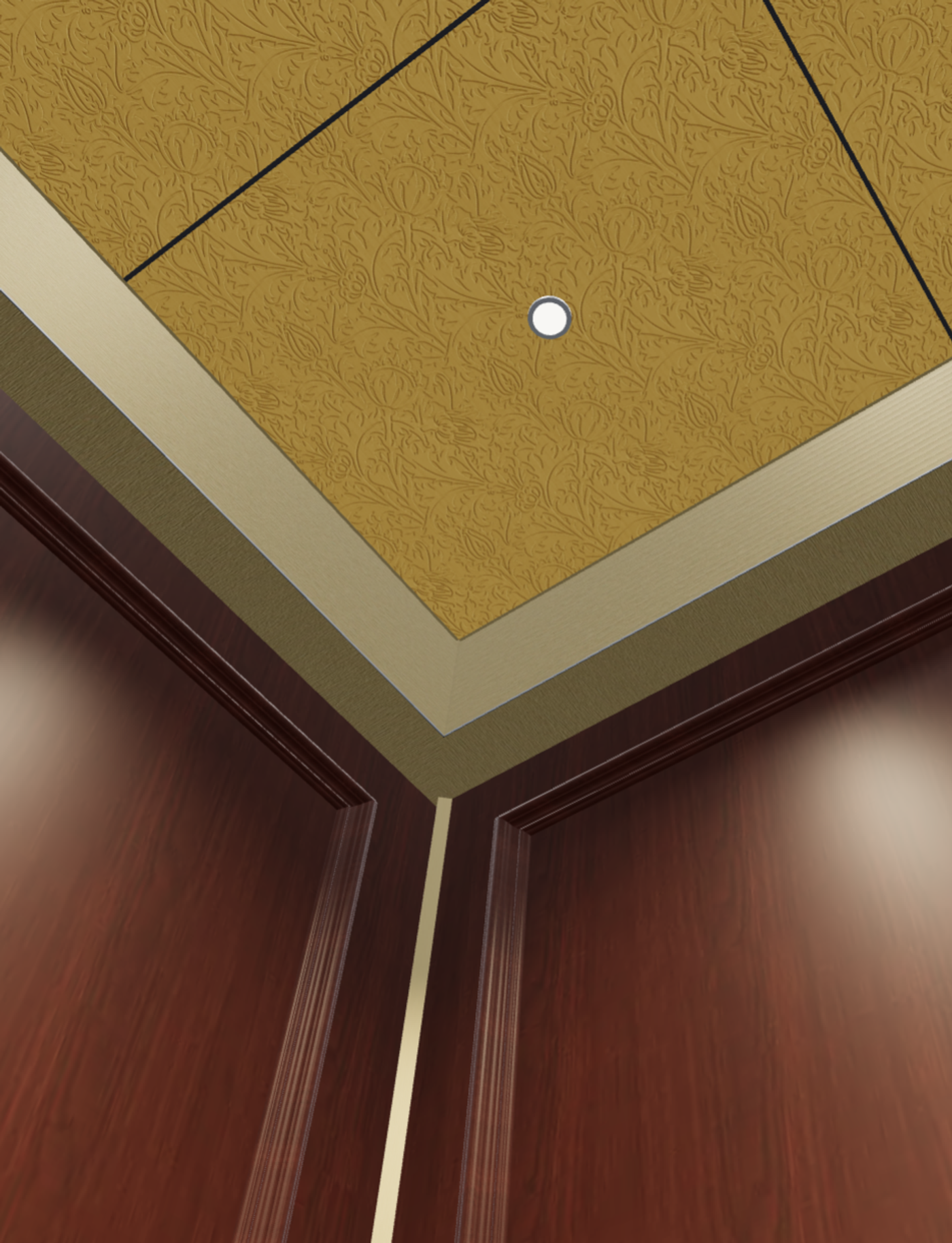 Close view of an elevator cab ceiling and wood veneer wall detail