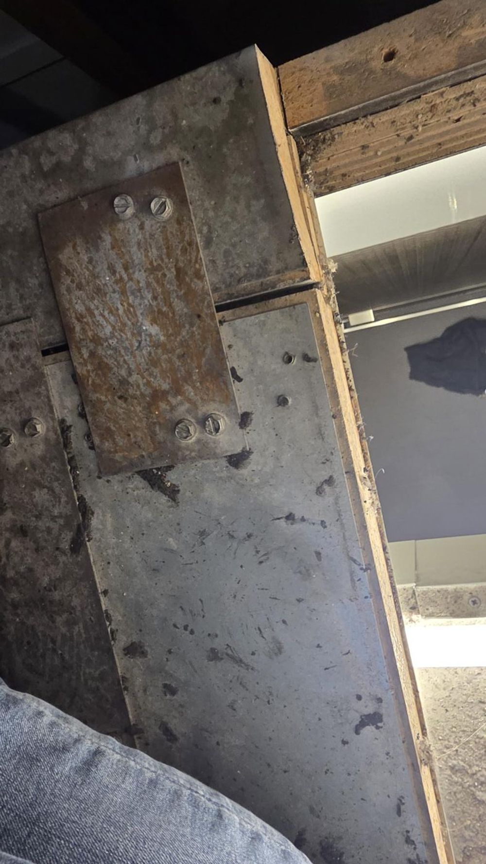 Thickness of the canopy at the exit hatch showing wood construction