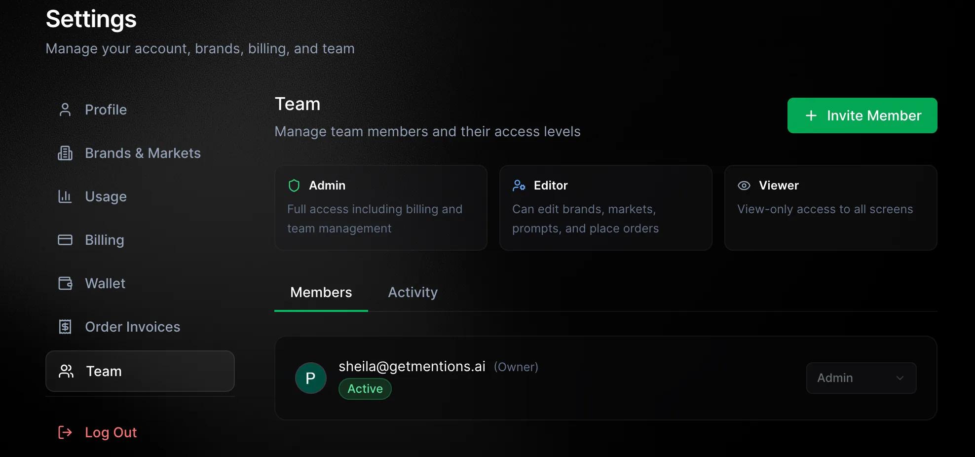 Team settings showing Admin, Editor and Viewer access levels with an invited member