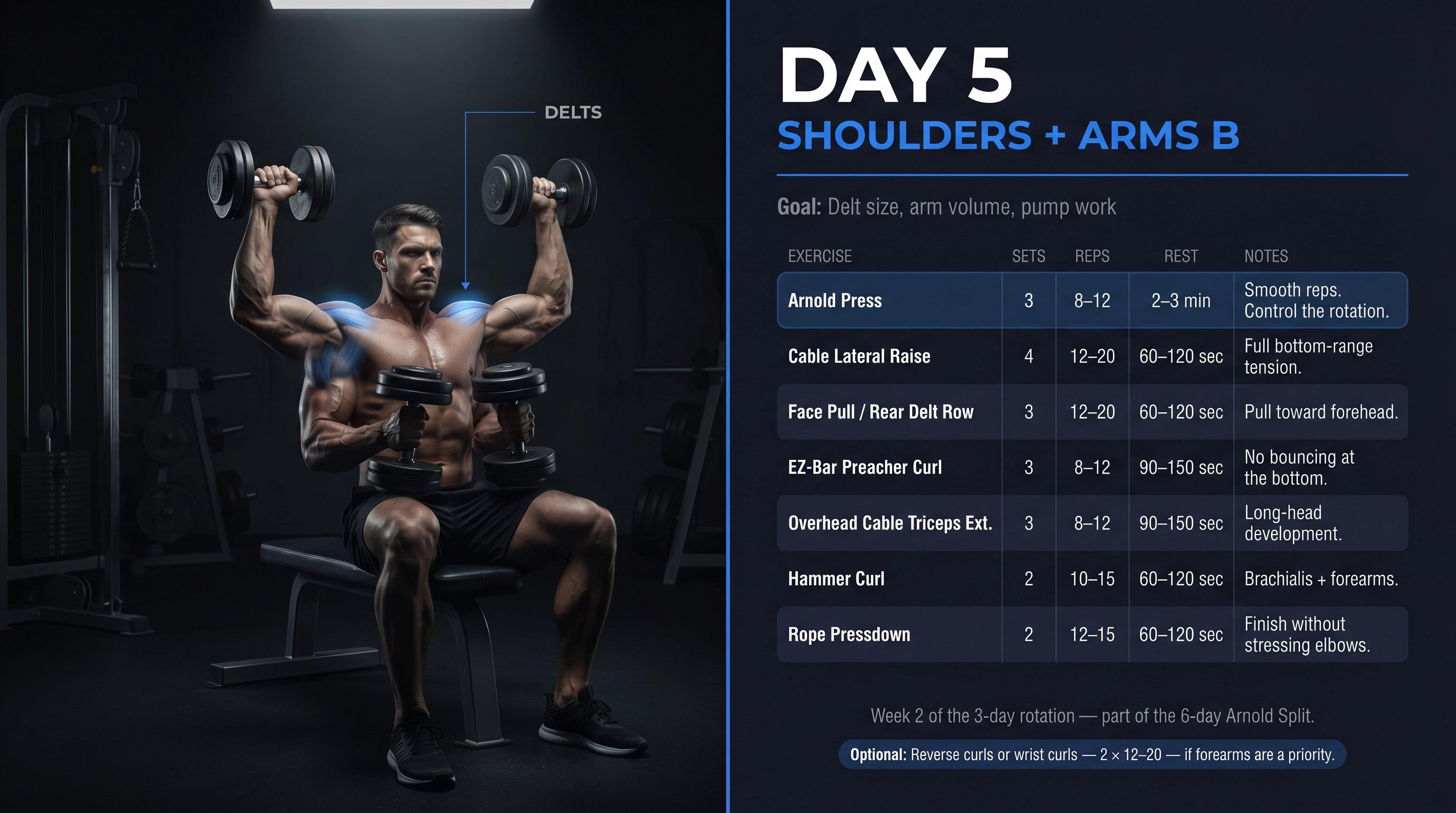 Day 5 Shoulders and Arms B workout card featuring Arnold press technique and full exercise sequence for delt size and arm volume