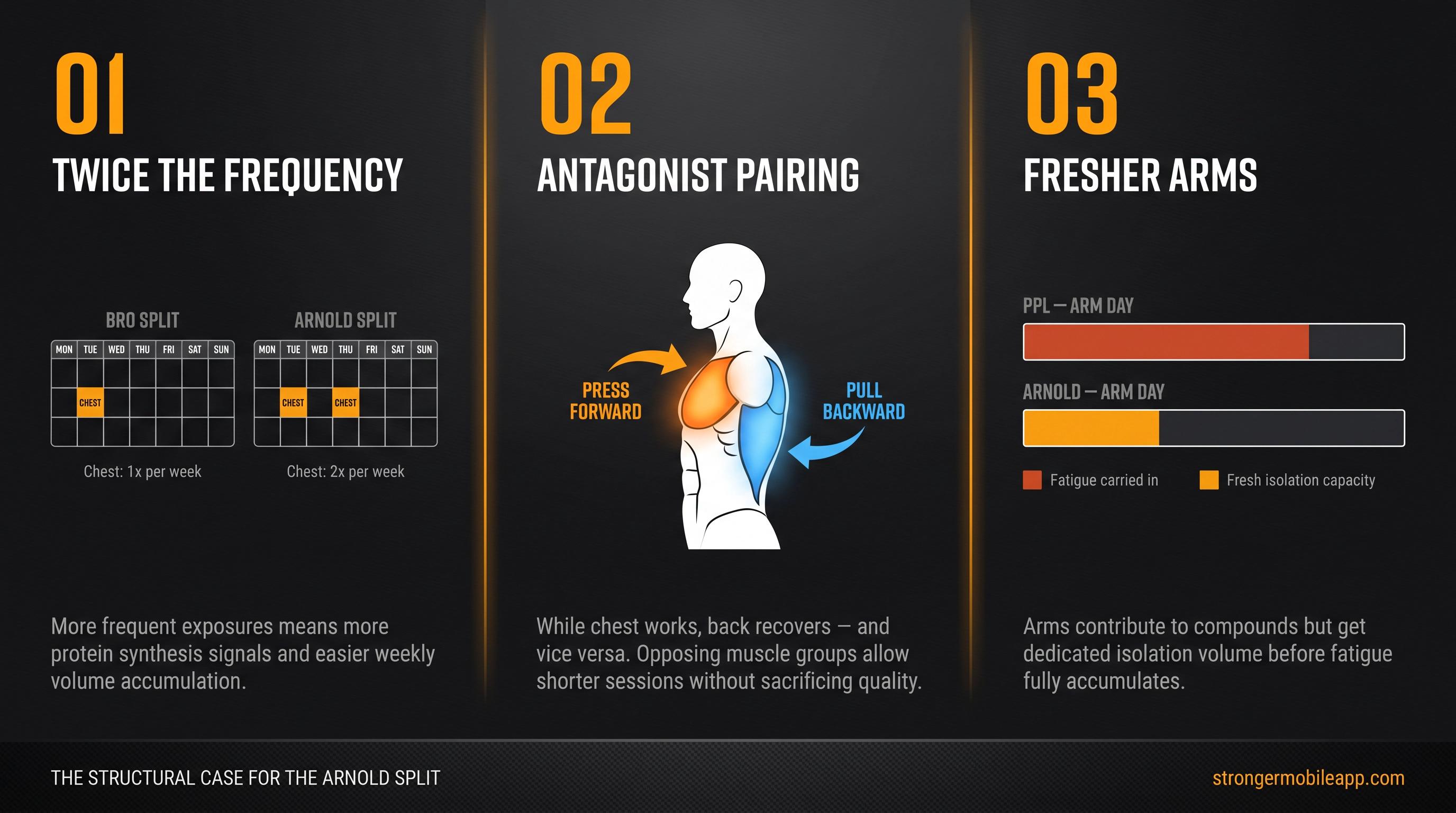 Three-panel diagram showing the Arnold split's structural advantages: twice-weekly frequency, antagonist pairing, and fresh arm training
