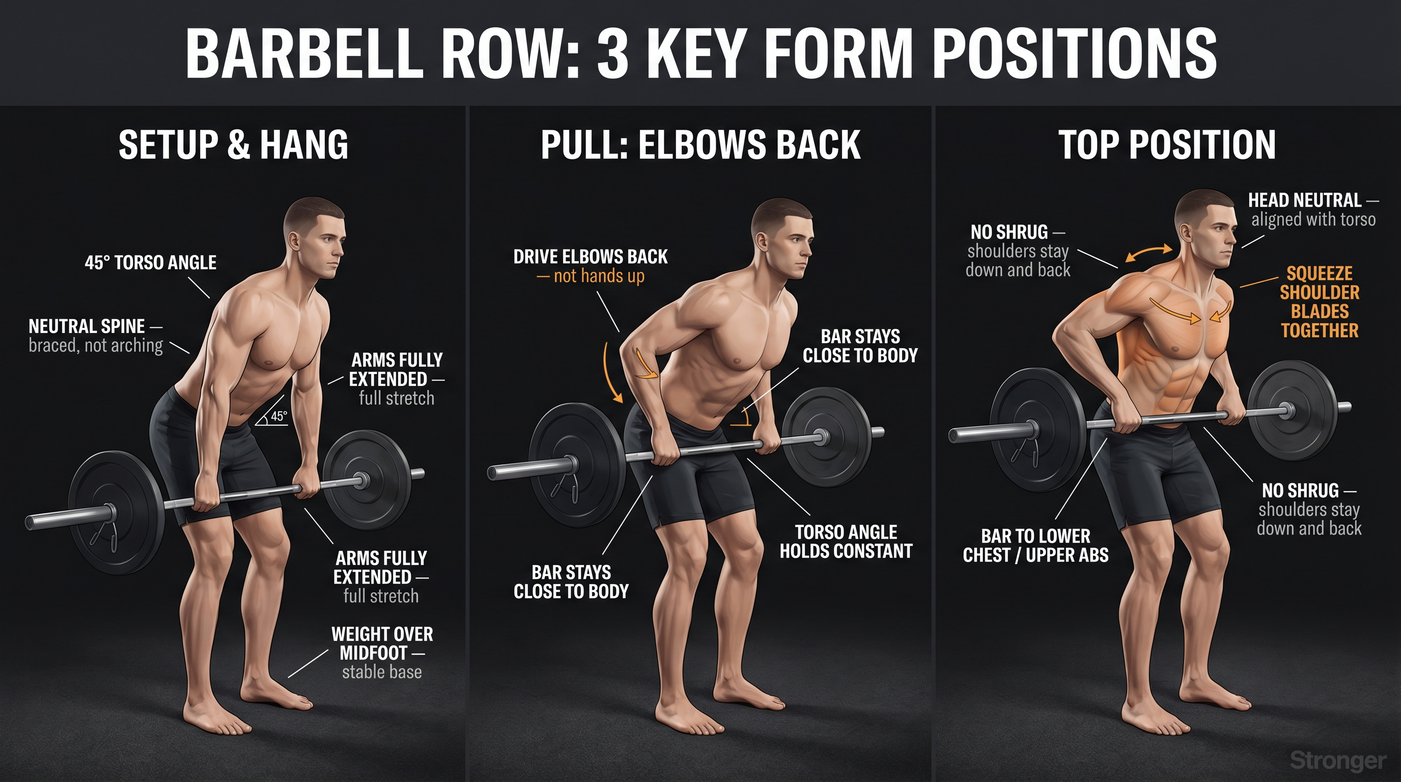 Three-panel barbell row form diagram showing setup, elbow drive, and top position with annotated form cues