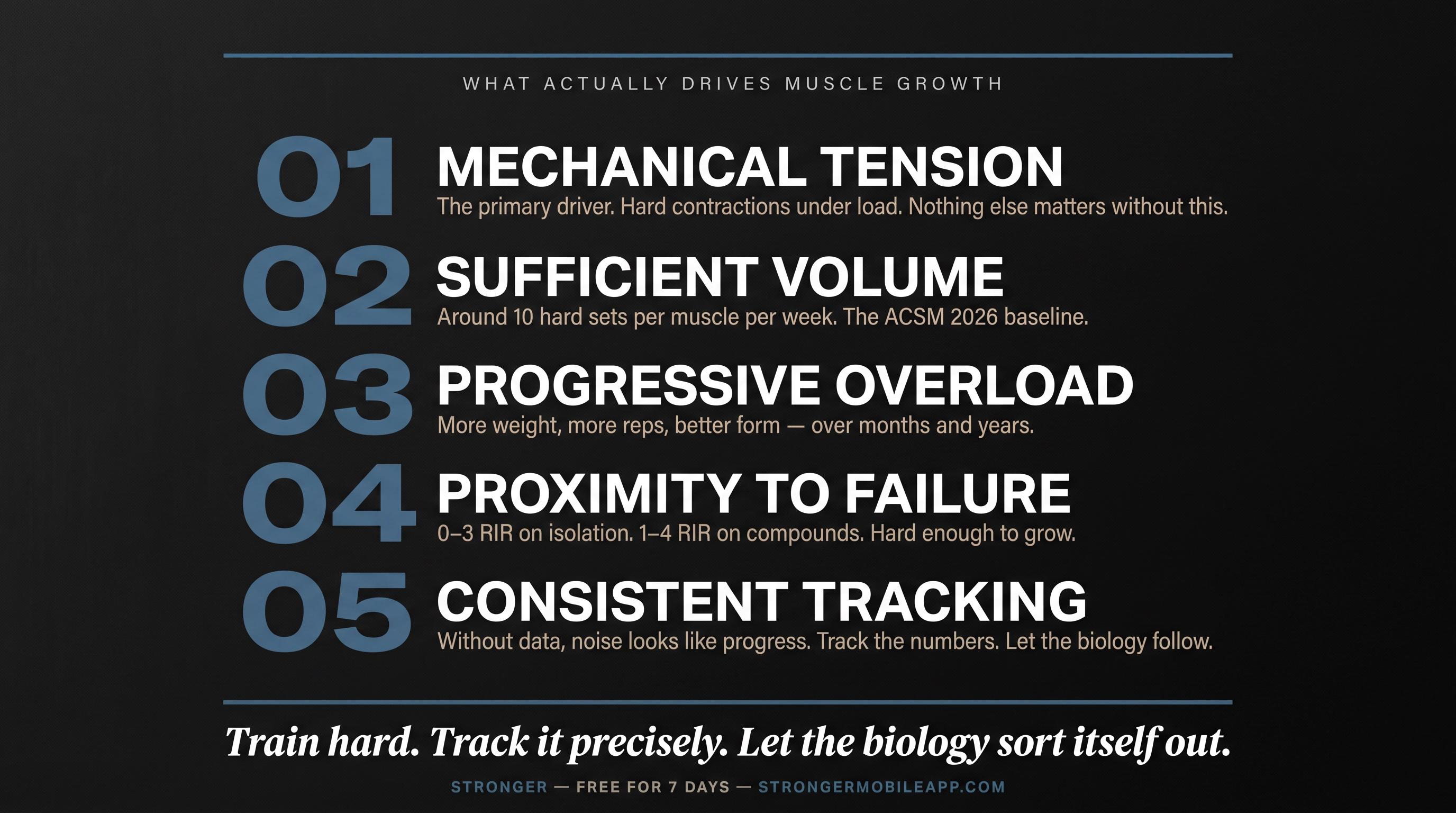 Bold typographic poster displaying the five core principles of evidence-based muscle growth in Stronger app's premium dark aesthetic
