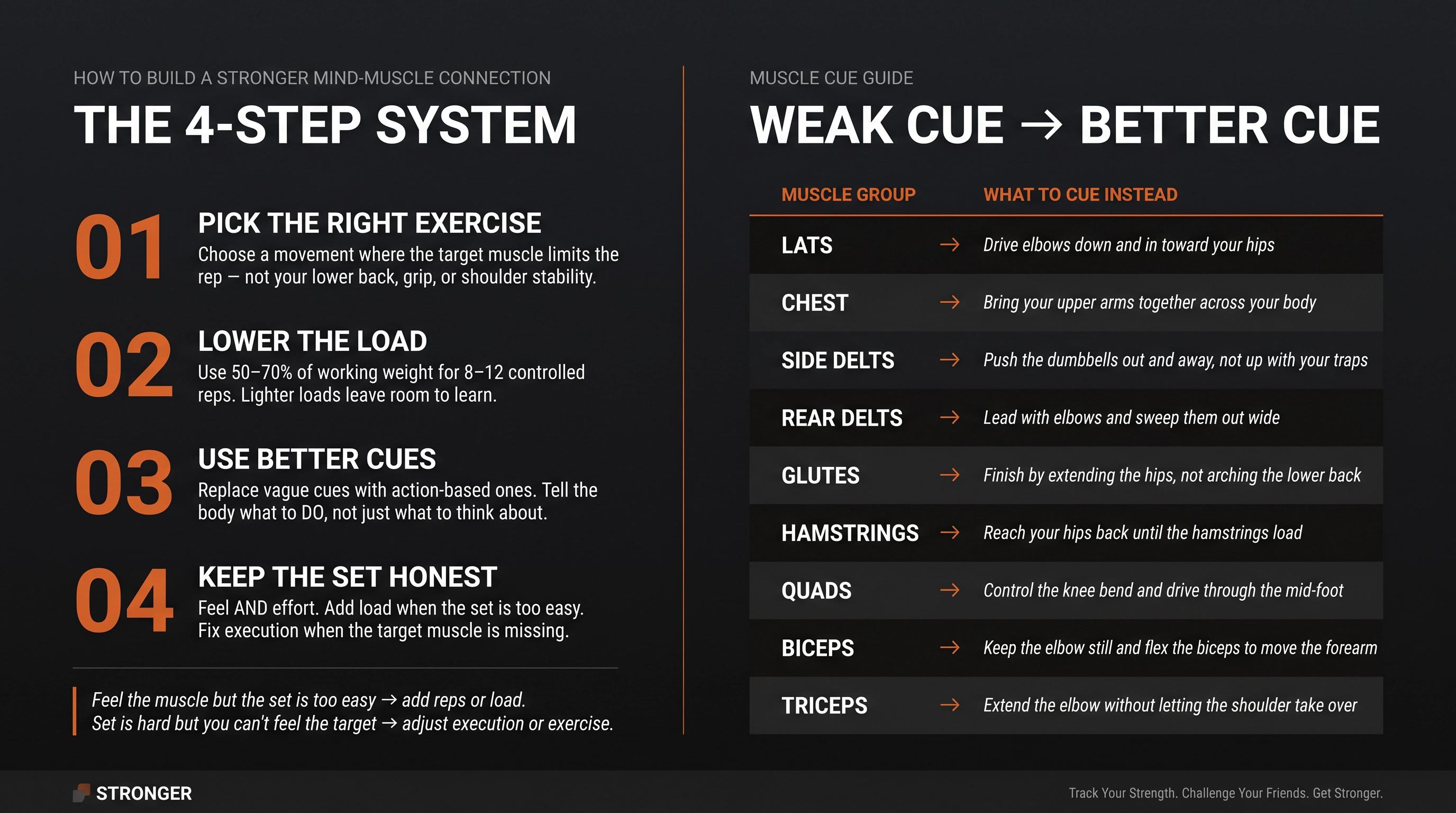 4-step system to build a stronger mind-muscle connection with muscle cue transformation reference guide