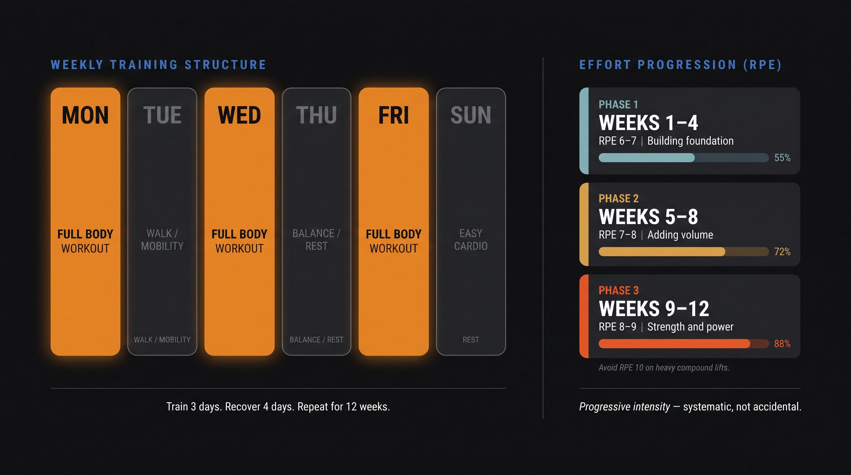 Premium training program card showing the 3-day full-body weekly schedule and RPE effort progression across 12 weeks