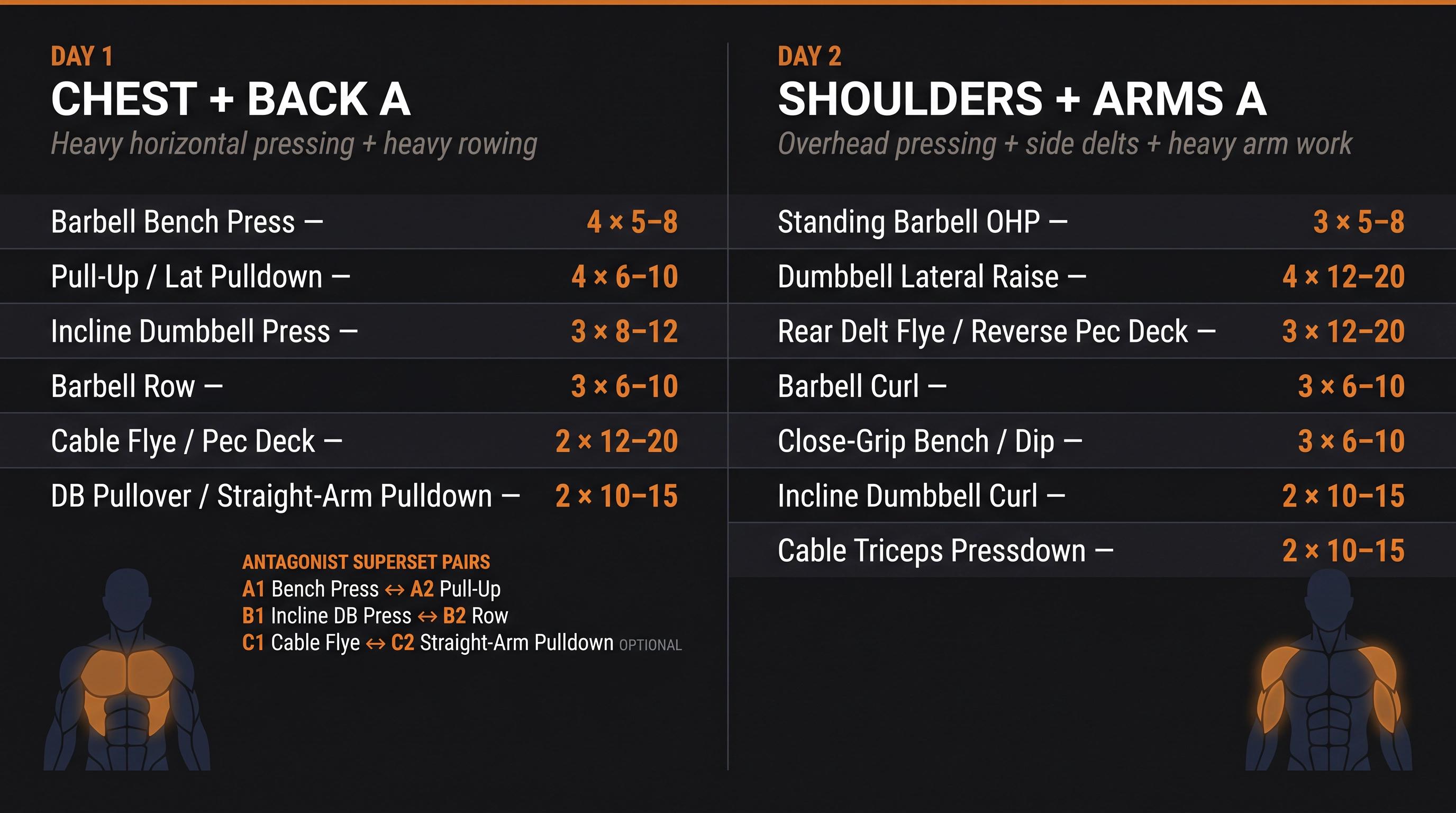 Arnold Split Days 1-2 workout card: Chest + Back A and Shoulders + Arms A exercise lists with sets, reps, and muscle targets