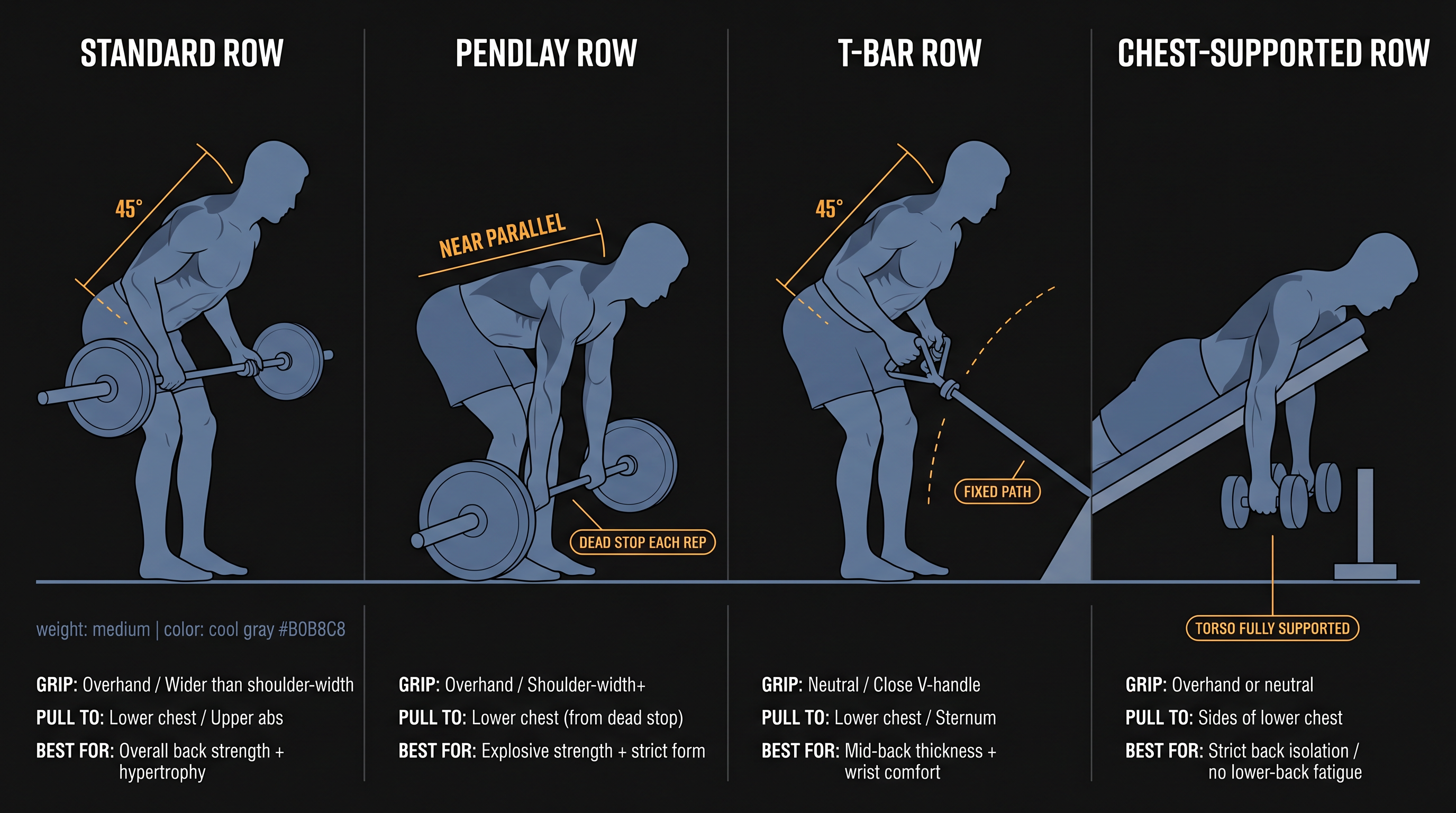 Four barbell row variations compared — standard, Pendlay, T-bar, and chest-supported — with torso angle and grip annotations
