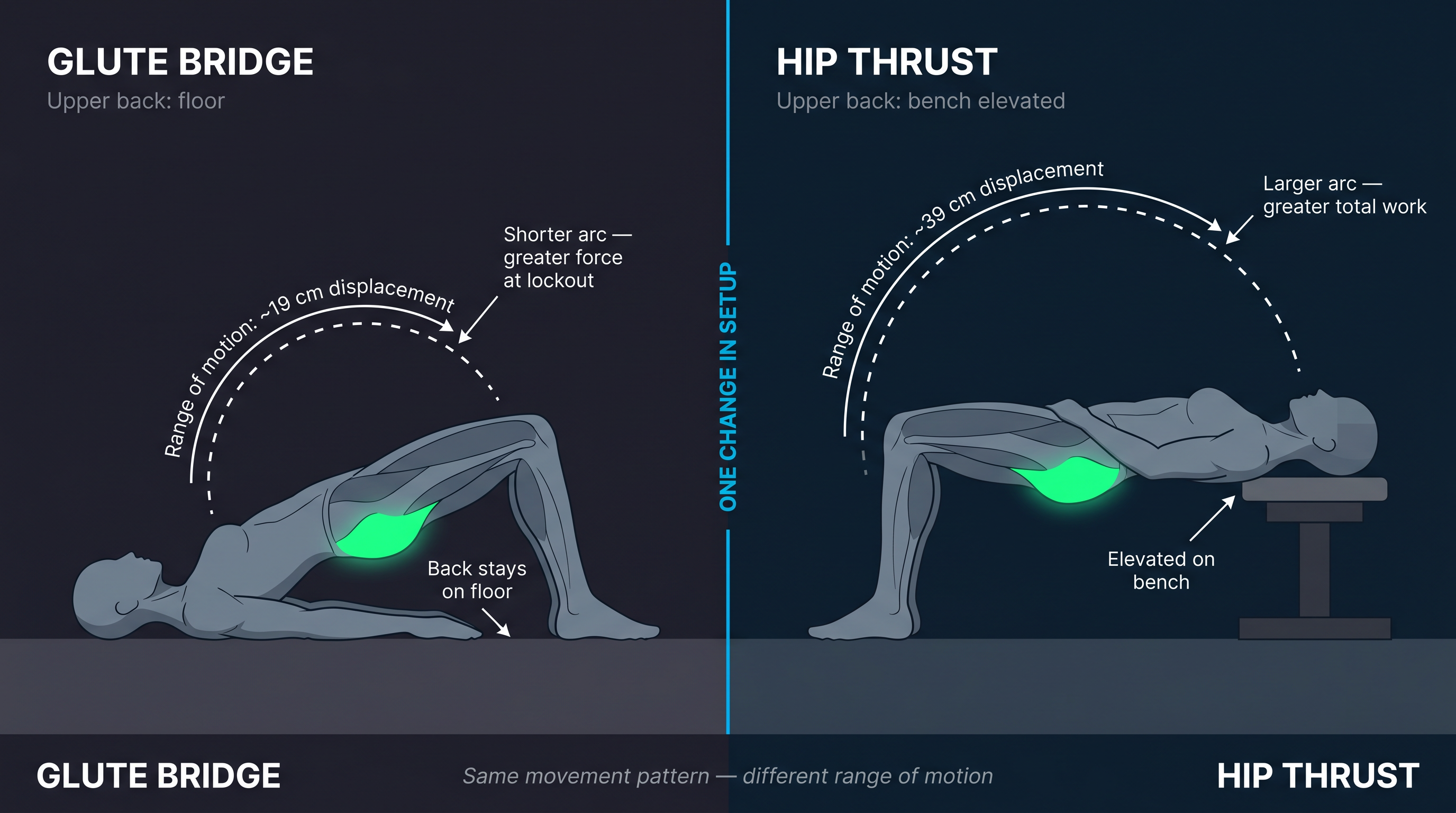 Side-by-side biomechanical diagram comparing glute bridge floor position vs hip thrust bench-elevated position with range-of-motion arcs