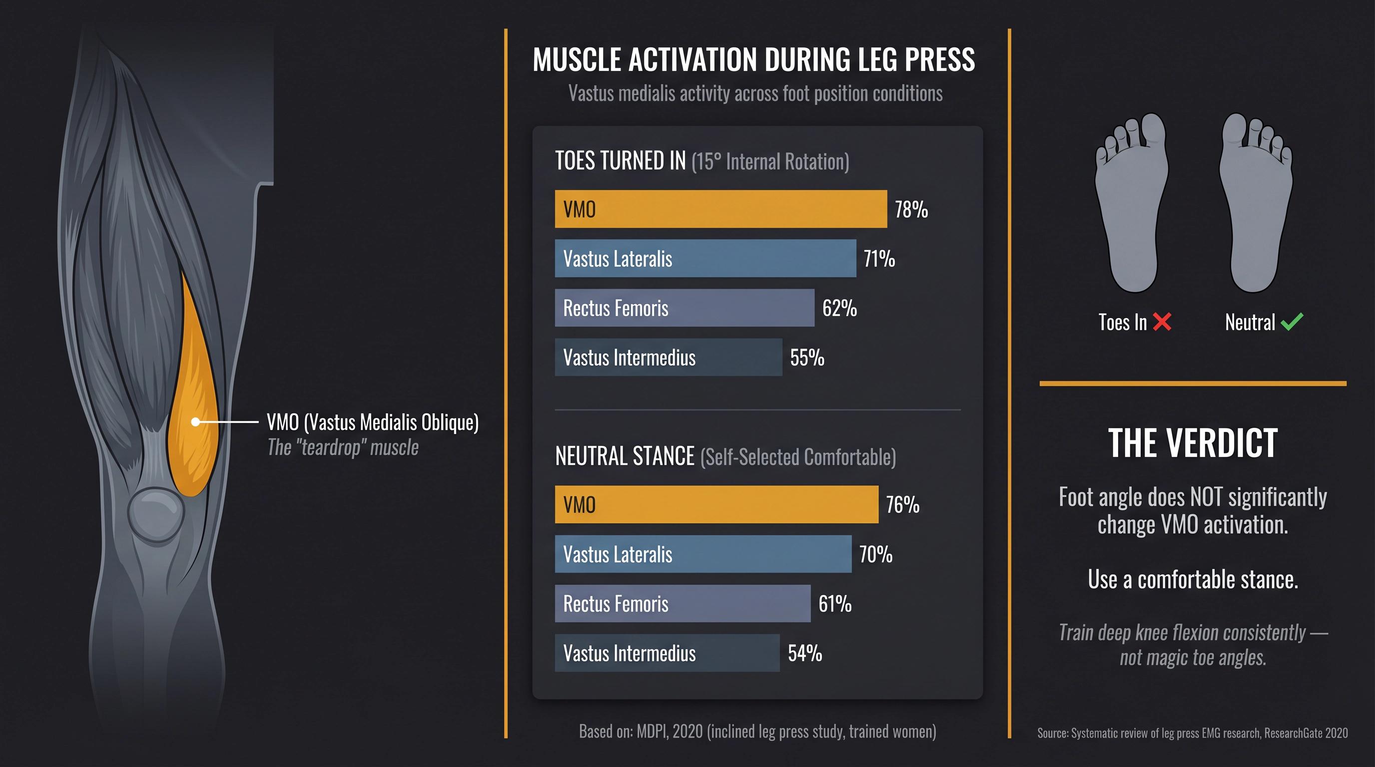 Anatomical diagram of the VMO teardrop muscle with side-by-side EMG comparison debunking toe-angle activation myths