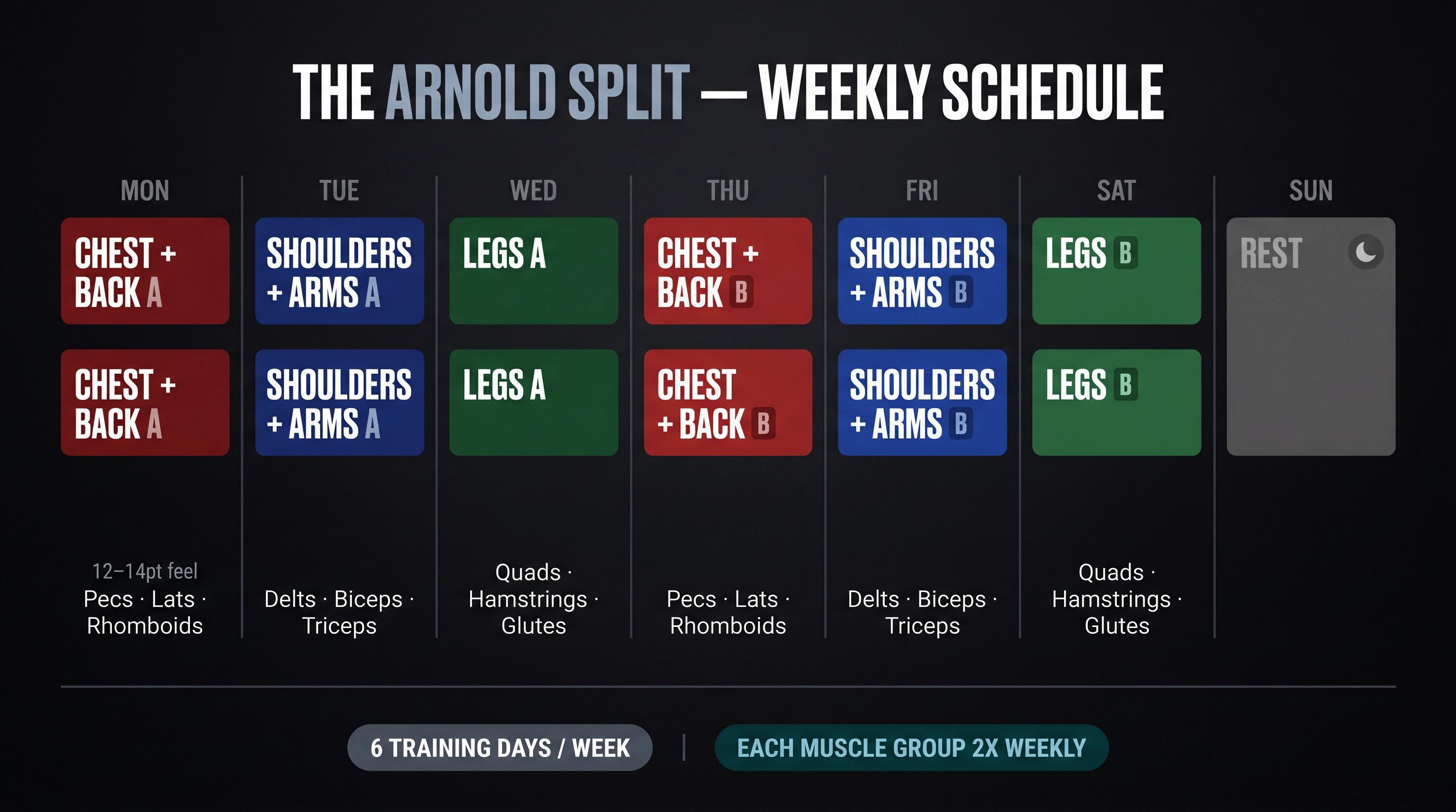 Arnold Split 7-day weekly training schedule showing chest/back, shoulders/arms, and legs rotating twice per week
