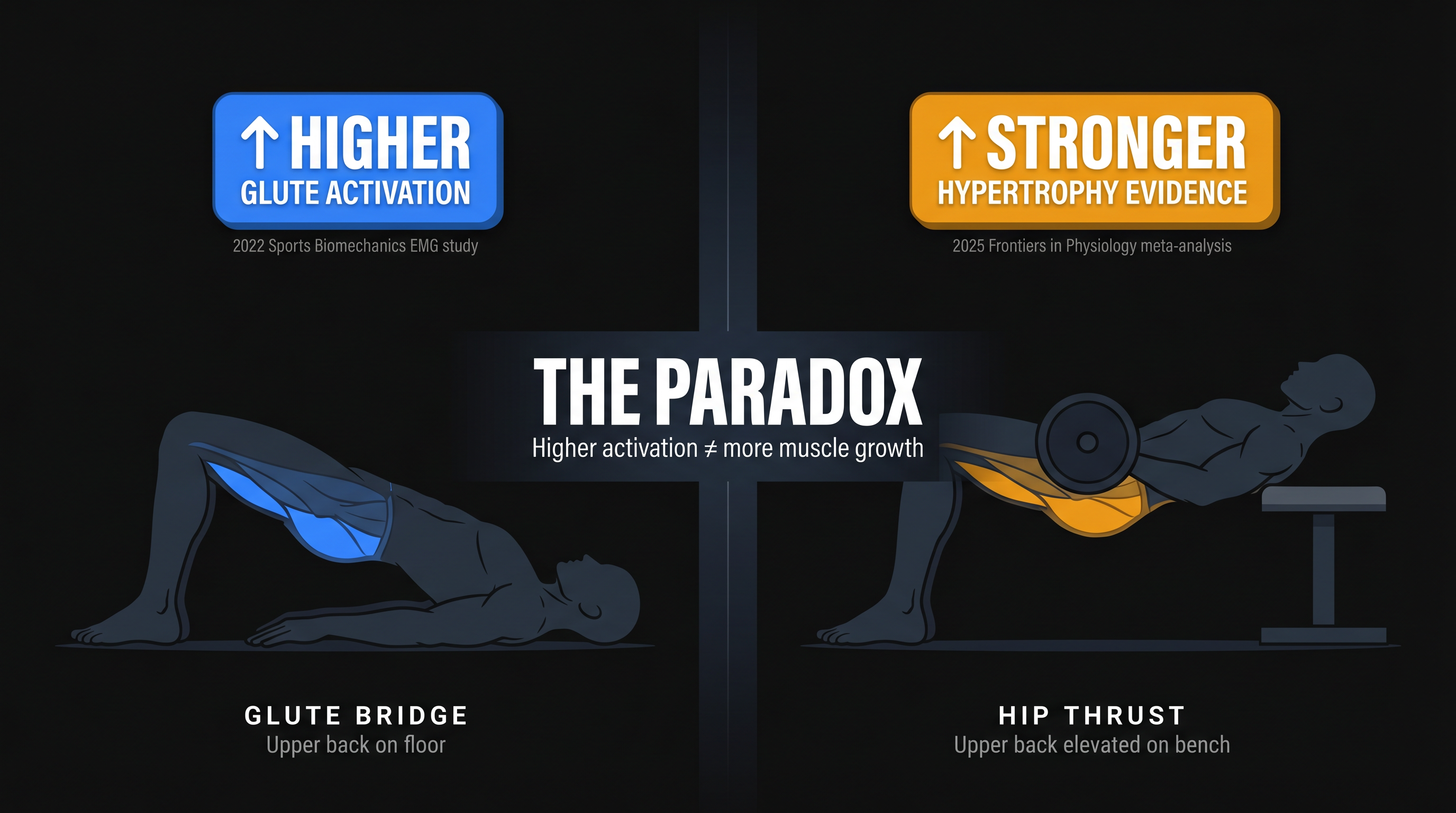 Dark editorial split-panel diagram showing glute bridge higher EMG activation vs hip thrust superior hypertrophy evidence